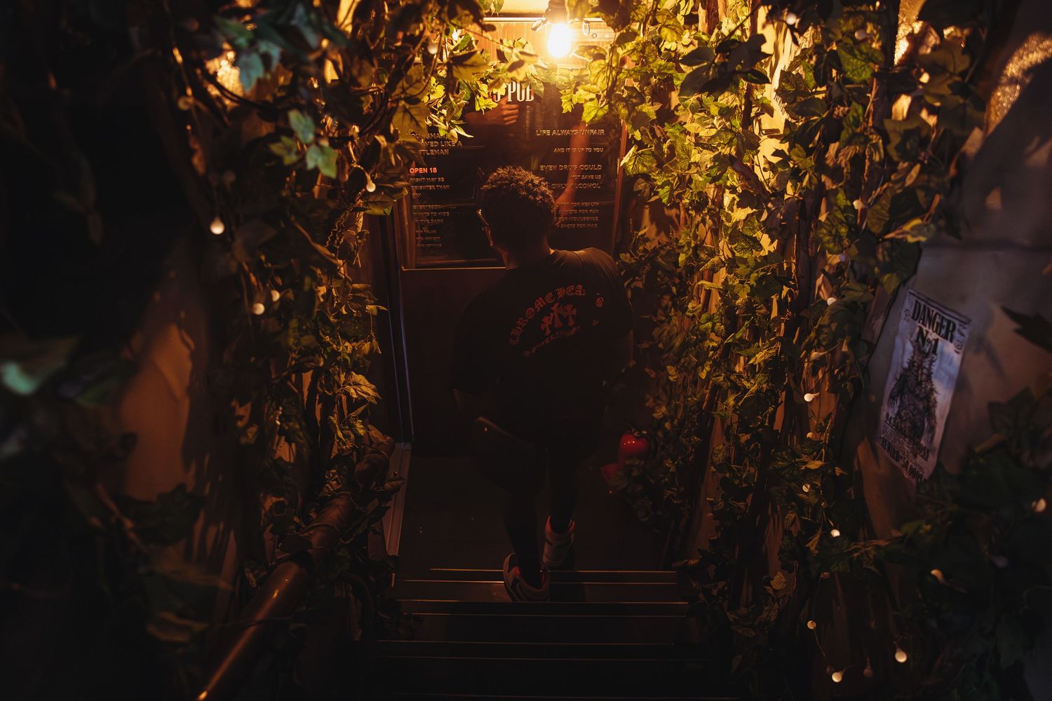 Person silhouetted on stairs surrounded by lush green plants in a dimly lit space.