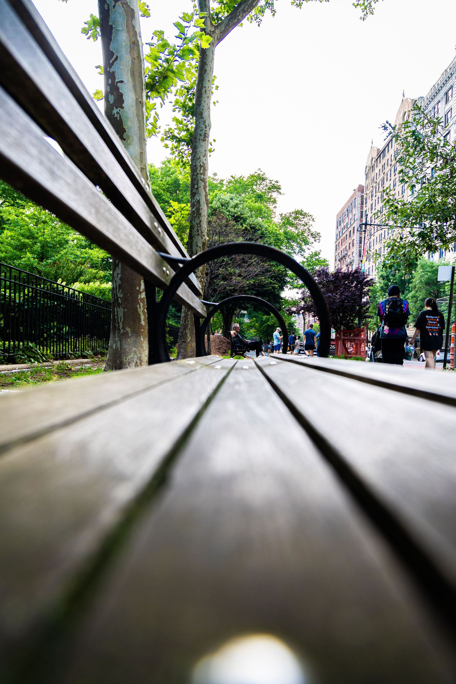 Low-angle view of a wooden park bench with circular iron armrests, lush green trees, and city buildings in the background.