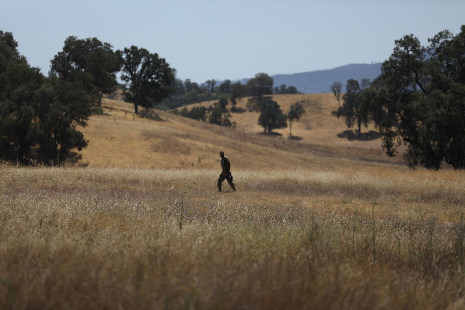 Lone soldier walking through golden dry grassland with oak trees and rolling hills in background.