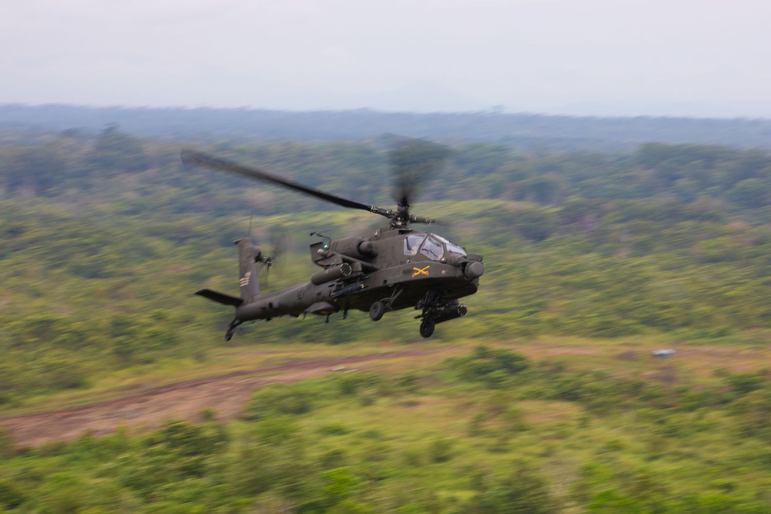 Military Apache helicopter flying low over dense green jungle terrain during combat exercise.