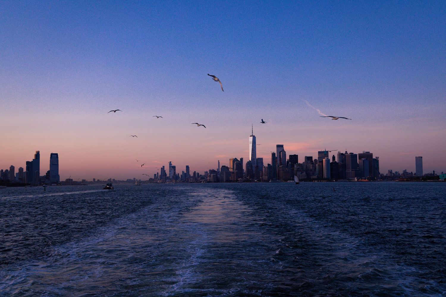 Seagulls fly over New York City skyline at dusk viewed from the water, with warm sunset hues and skyscrapers in the background.
