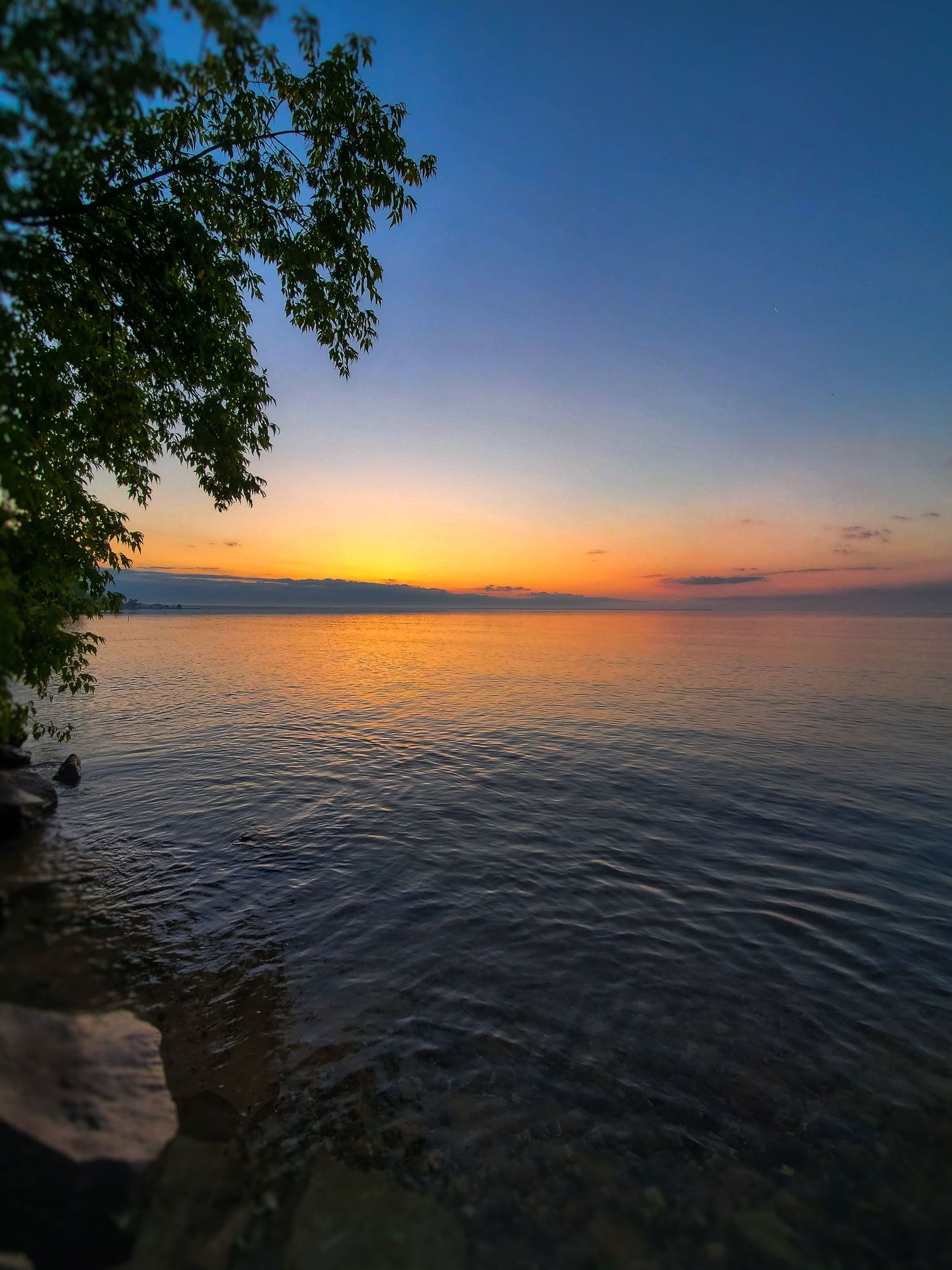 Vibrant sunset over a calm Tawas Bay lake with tree branches framing the golden sky.