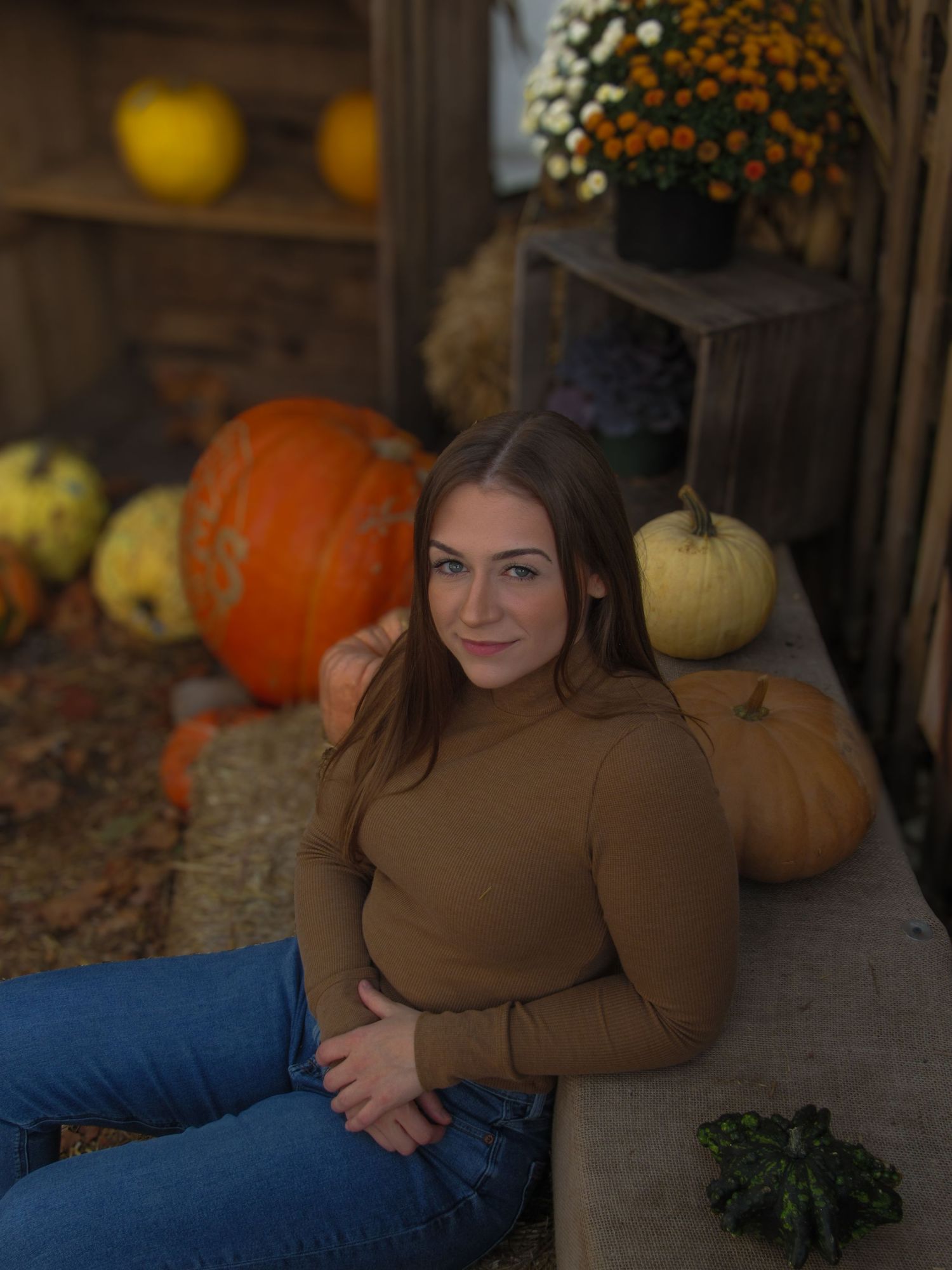 Autumn scene with pumpkins and gourds displayed in rustic setting.