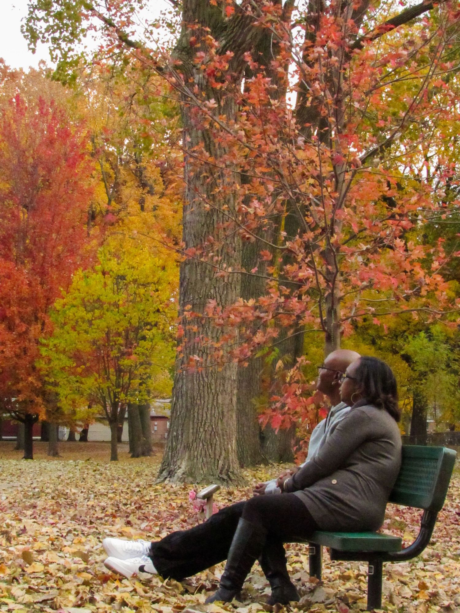 Couple sharing intimate moments on a park bench amid fallen autumn leaves.
