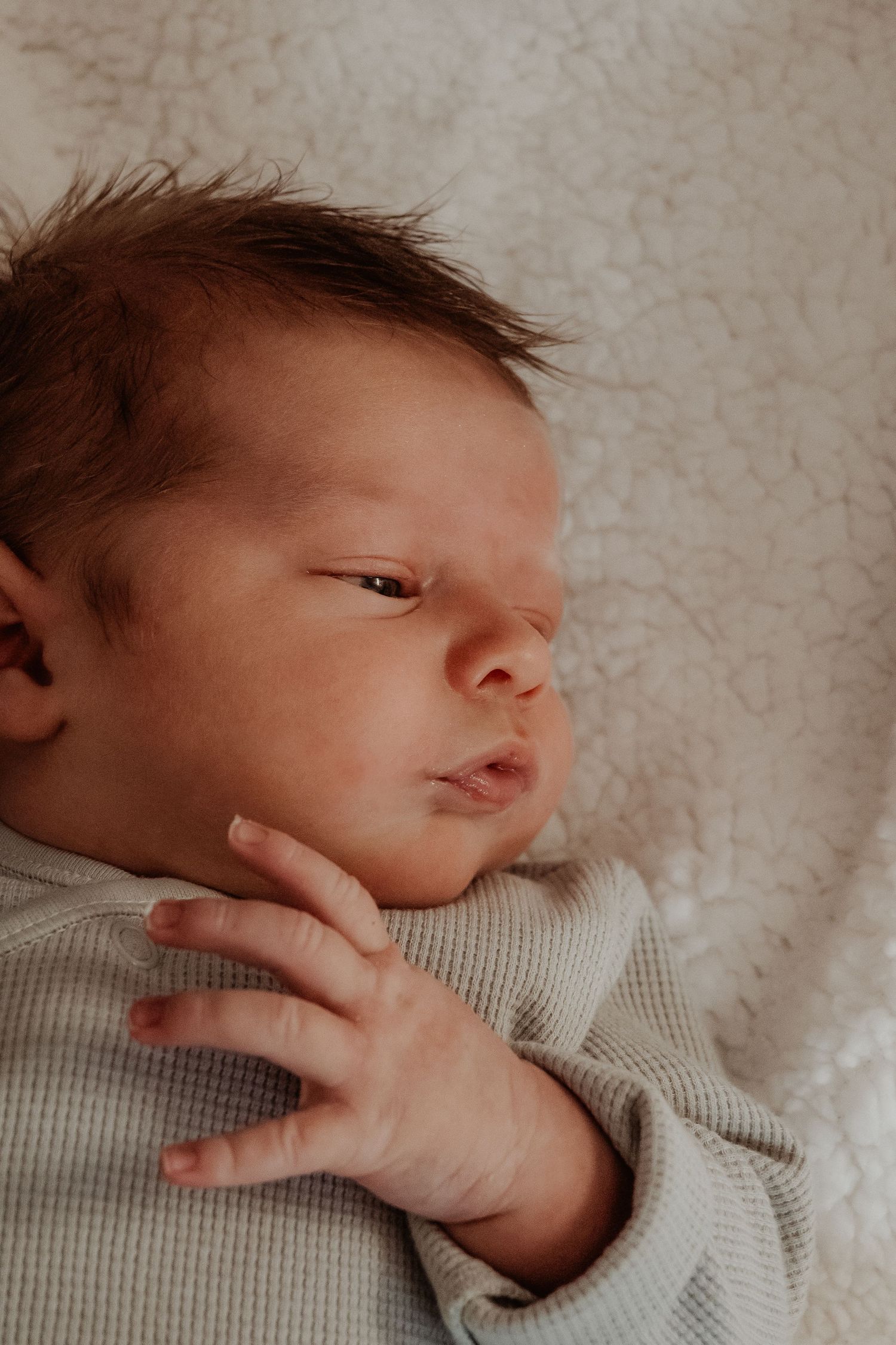 A newborn baby in a light gray ribbed sweater rests against a soft cream-colored background at a central coast newborn photoshoot.