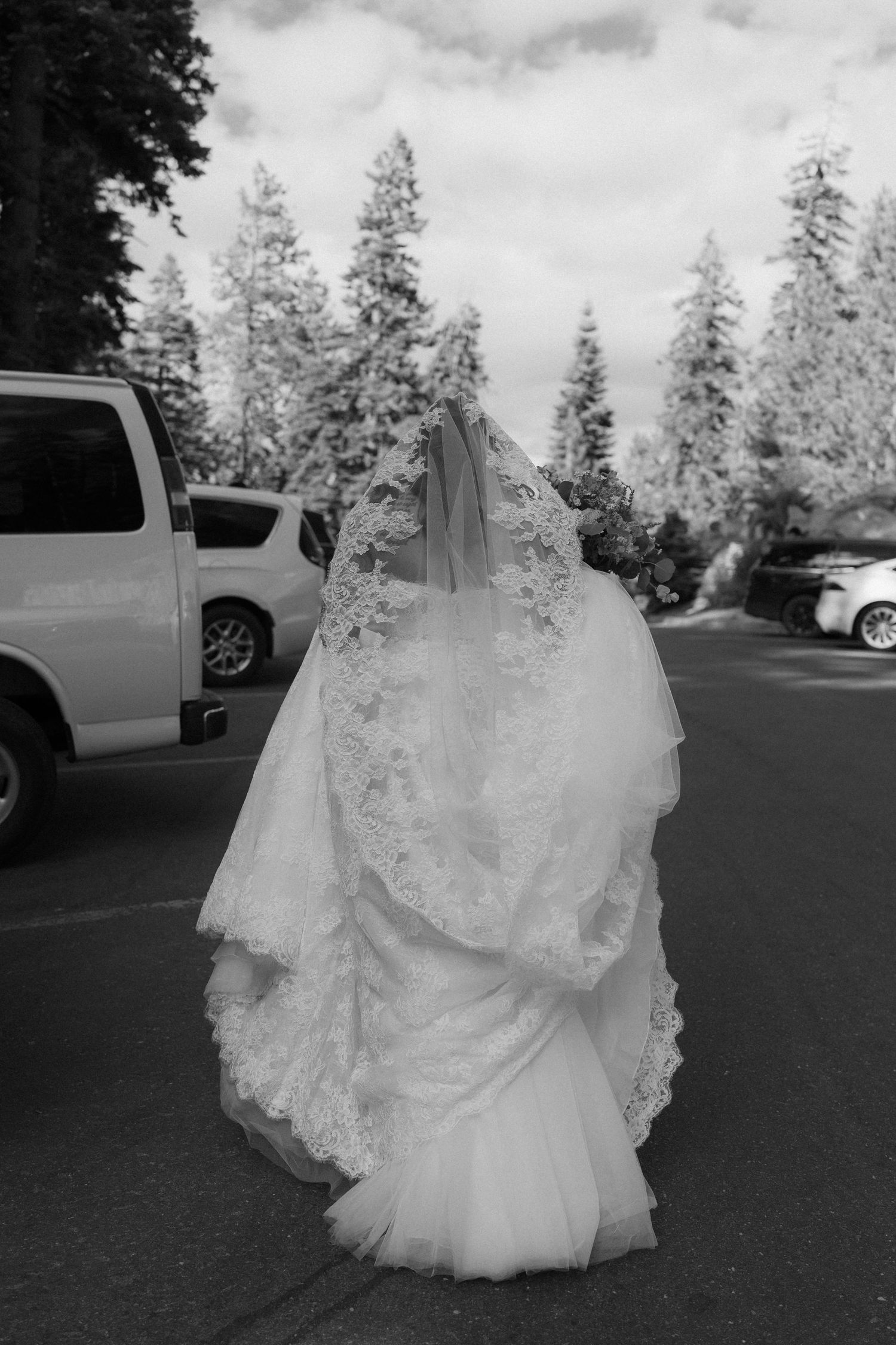 Bride in lace wedding gown and cathedral veil photographed from behind in black and white portrait.