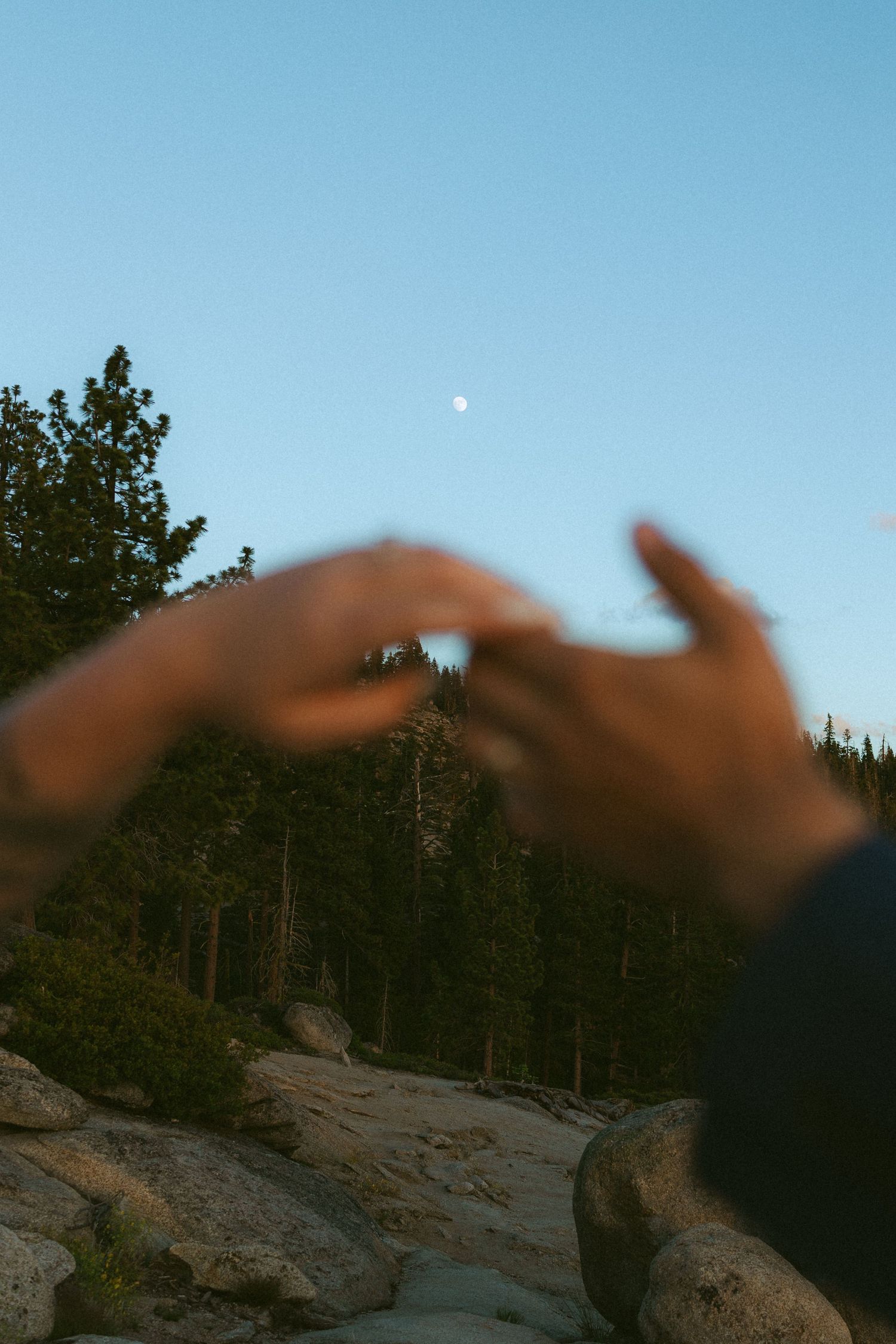Blurred hands frame a moonlit sky over pine trees and granite rocks at dusk in Yosemite.