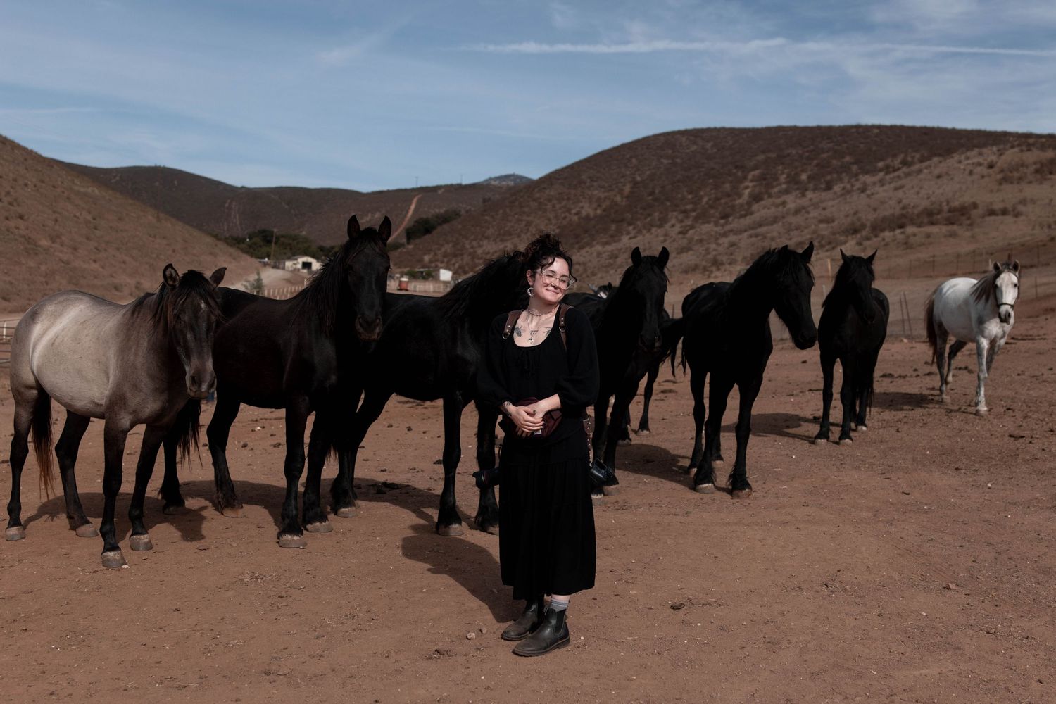 Herd of wild horses gathered on a desert plain under blue skies.