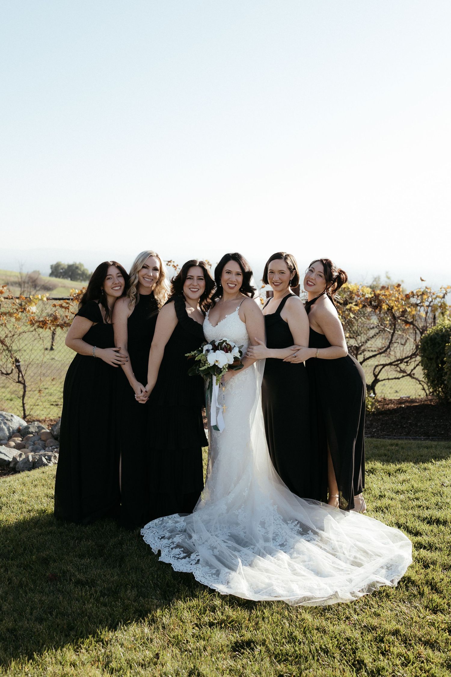 Wedding party stands in a vineyard with bridesmaids wearing elegant black dresses alongside the bride in a flowing white gown.