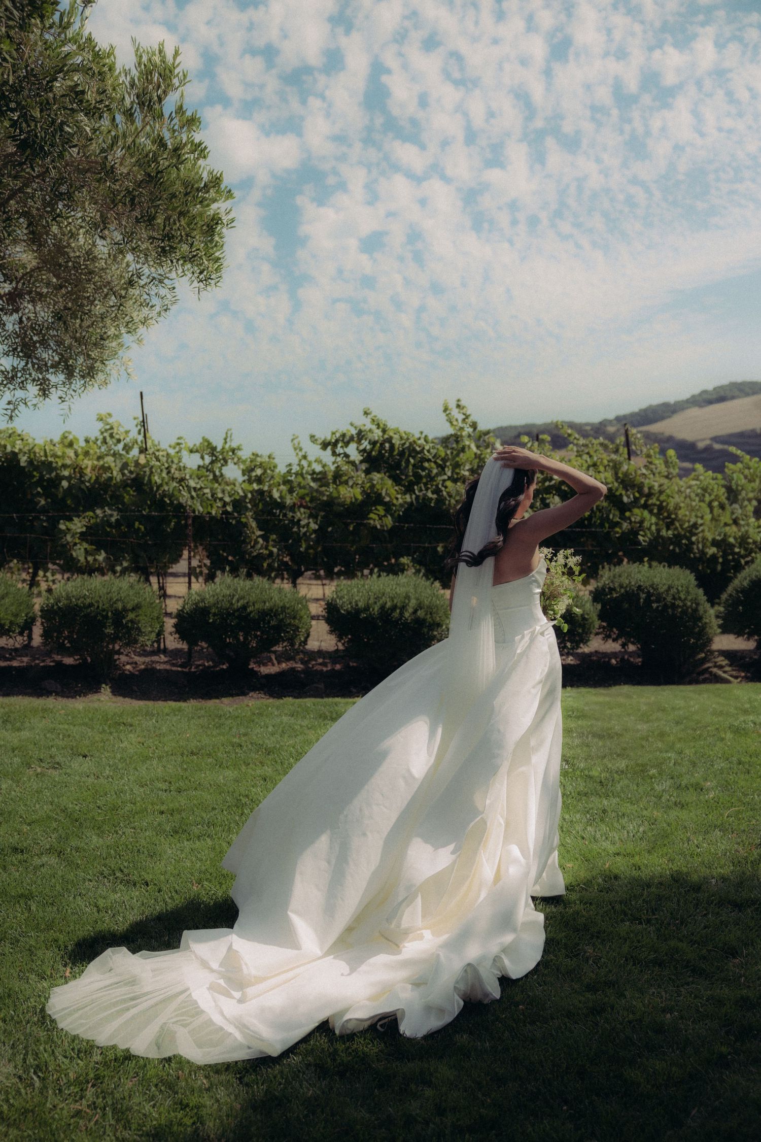 A flowing white wedding dress billows gracefully across a sunlit green lawn with trees and mountains in the background.