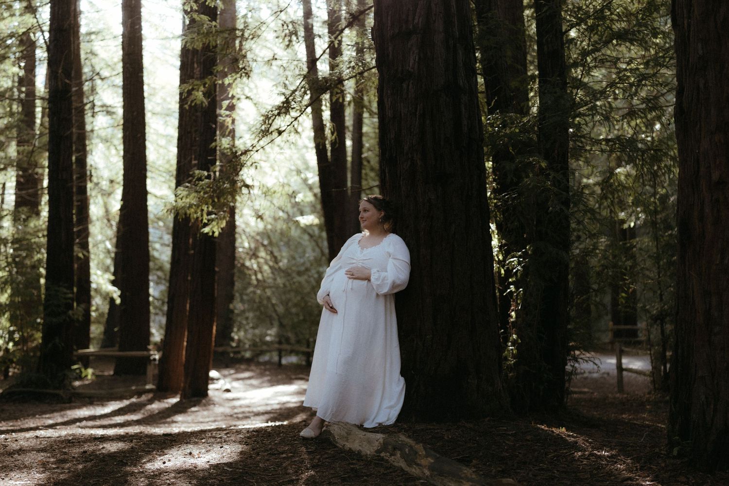 A figure in a flowing white dress stands in a sunlit redwood forest clearing.