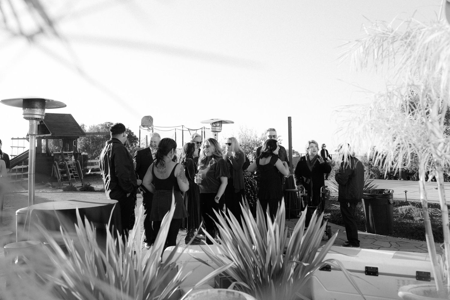 Panoramic view of event attendees standing behind desert plants in outdoor setting.