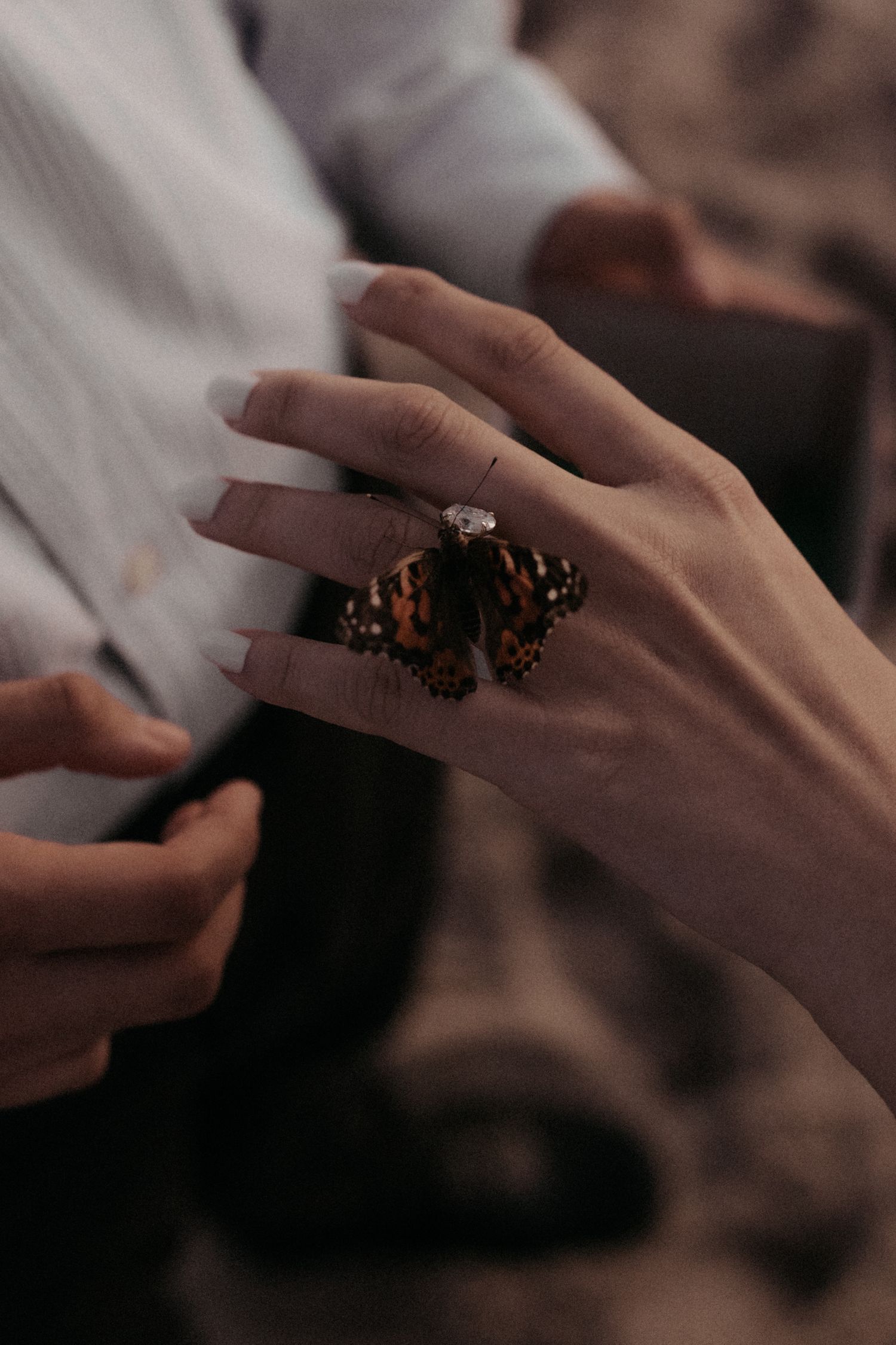 Close-up sequence of hands with an ornate ring in dim lighting.