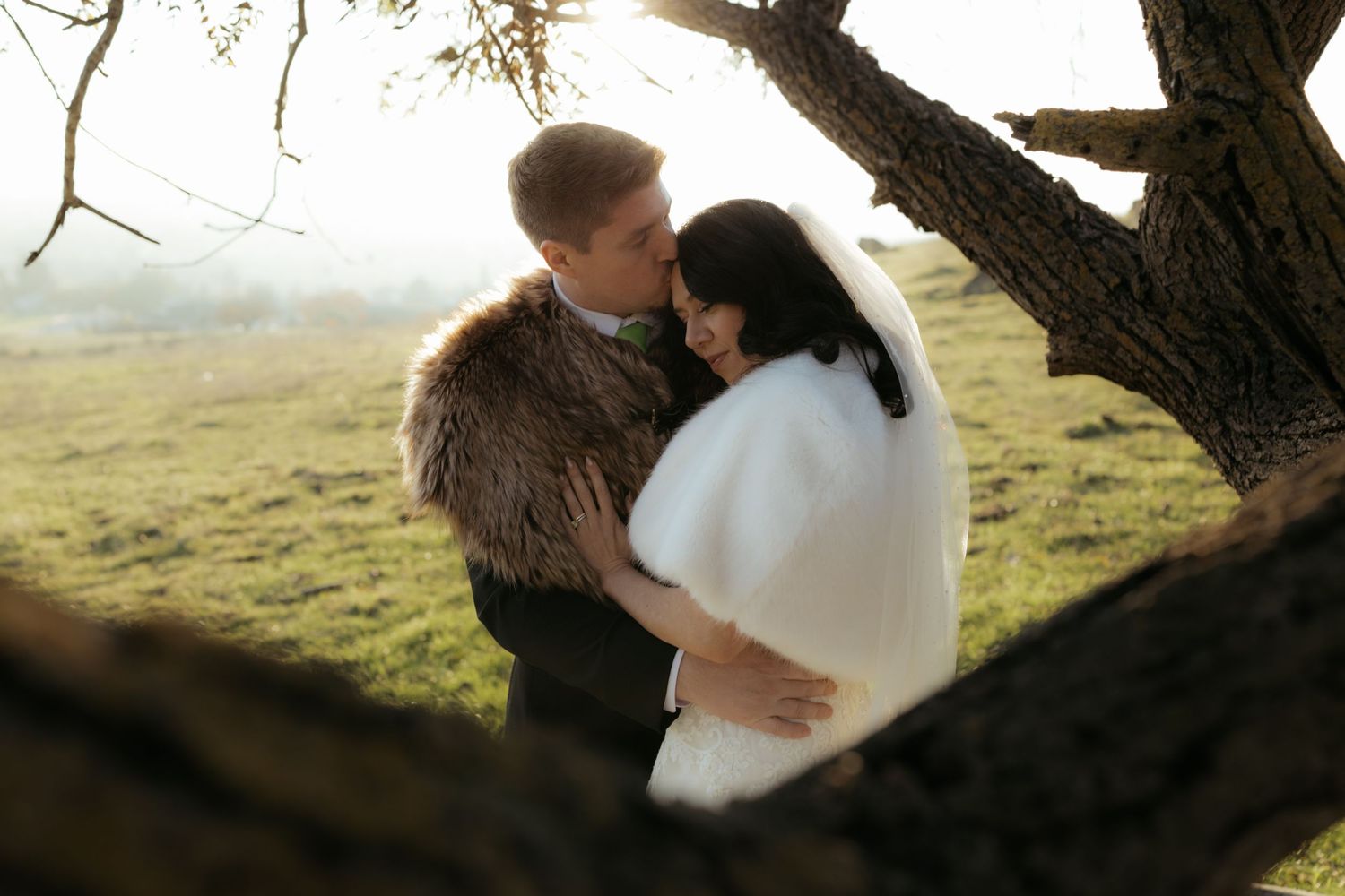 A romantic winter wedding couple embraces under a tree at sunset in a misty field.