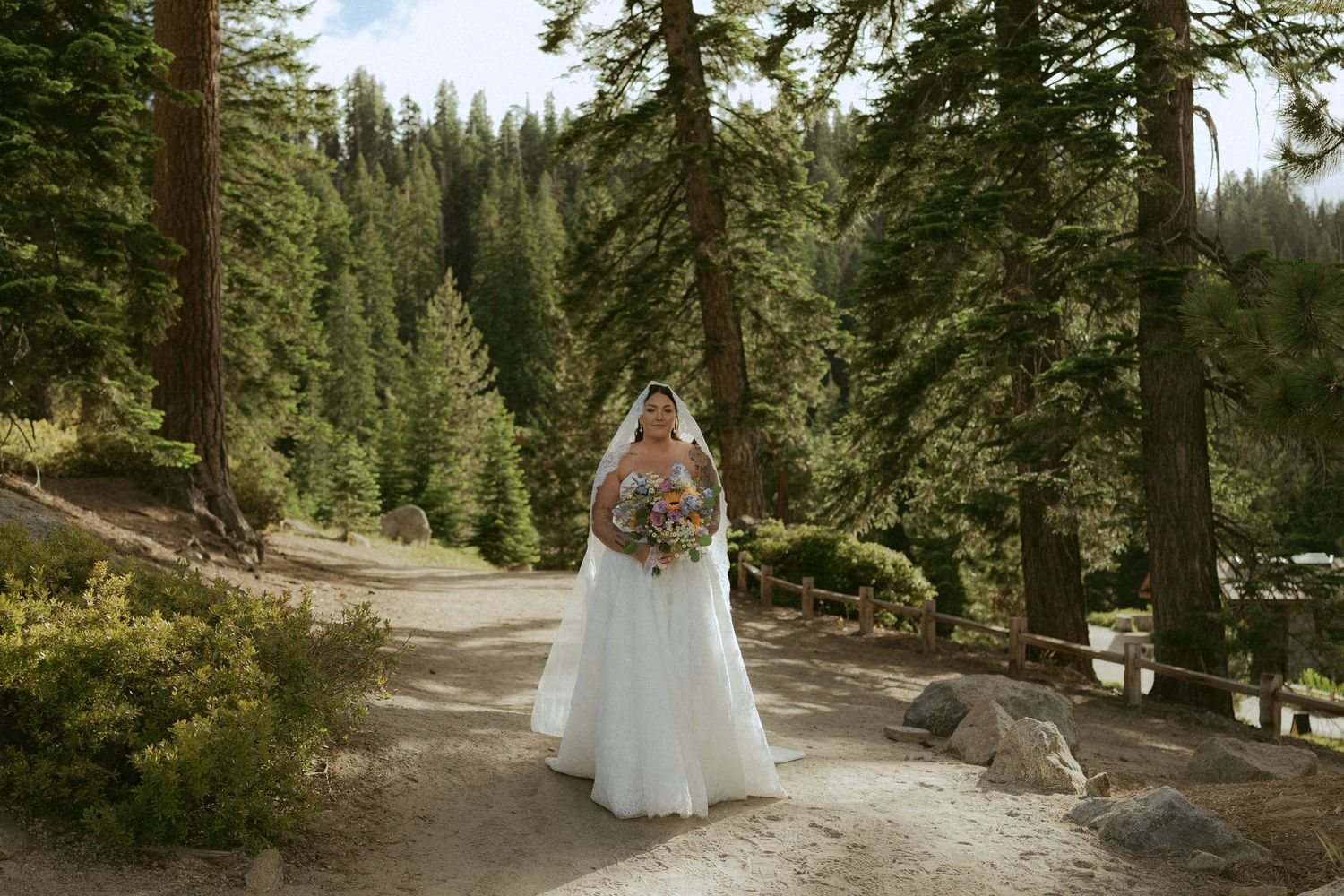 Bride in white gown holds bouquet on forest path surrounded by tall pine trees.