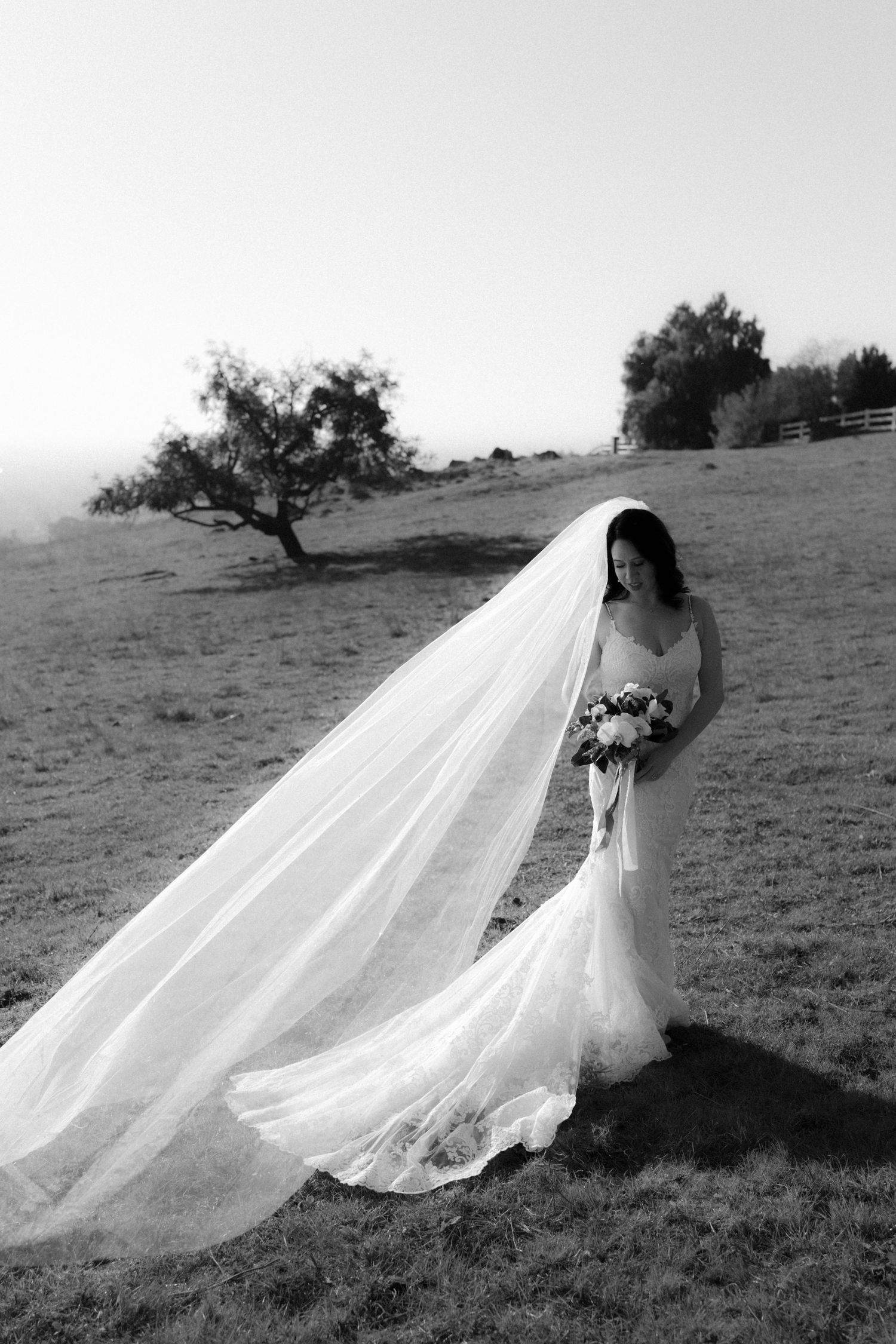 A bride in a flowing lace wedding dress with long veil stands on a hillside in black and white photography.