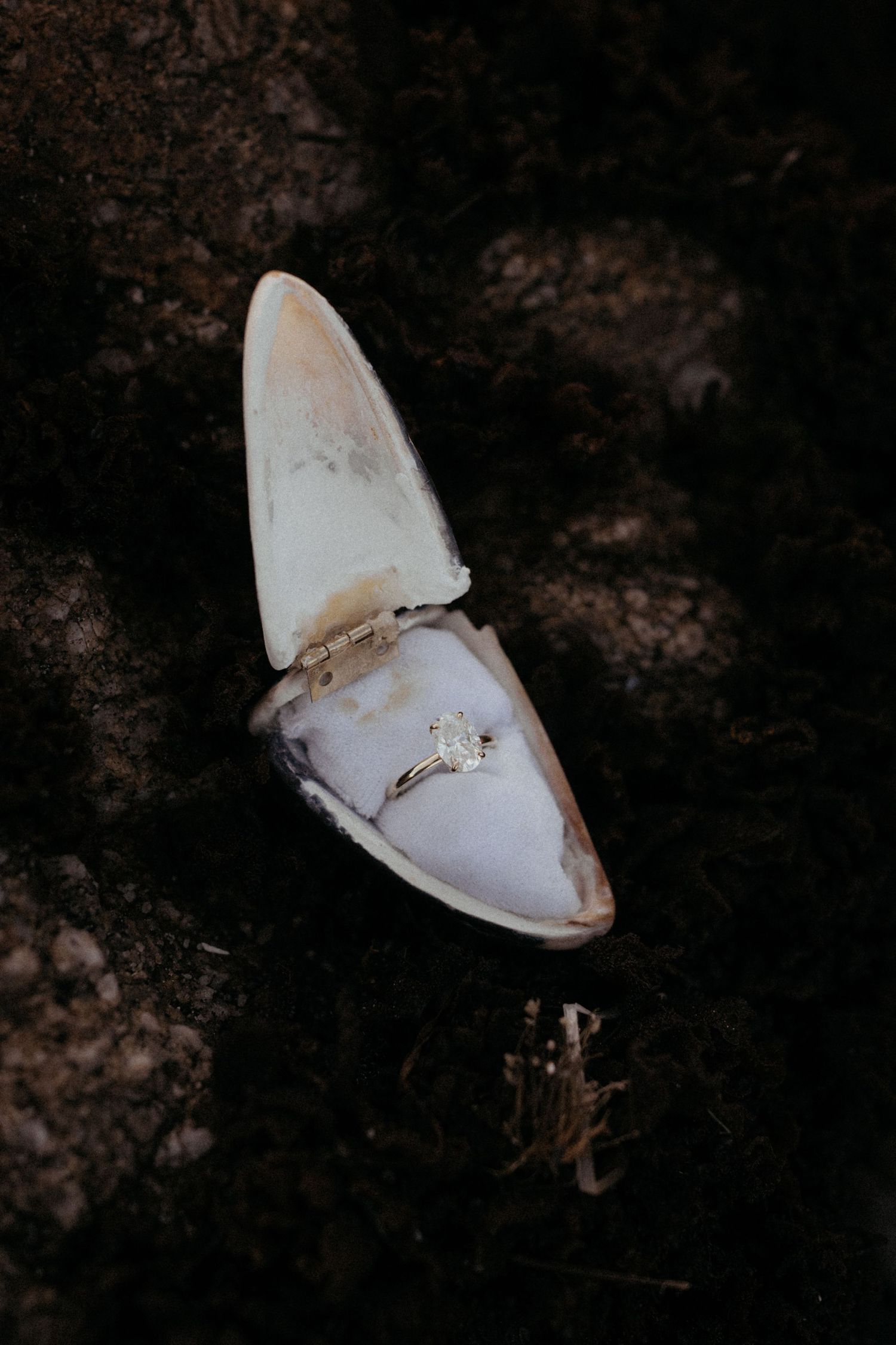 Diamond engagement ring displayed inside an open oyster shell on dark ground.