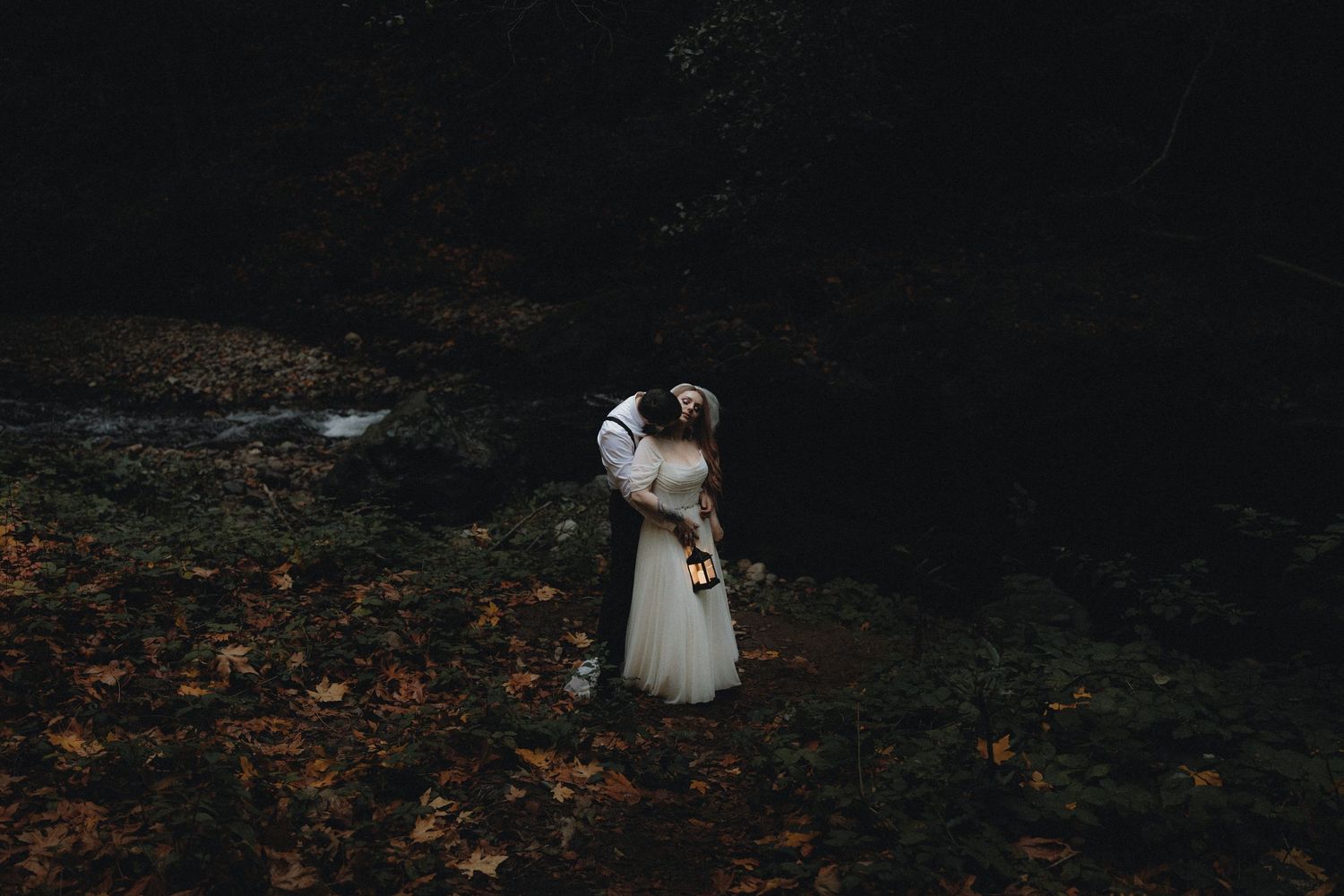 Dark woodland setting with silhouettes against natural lighting.