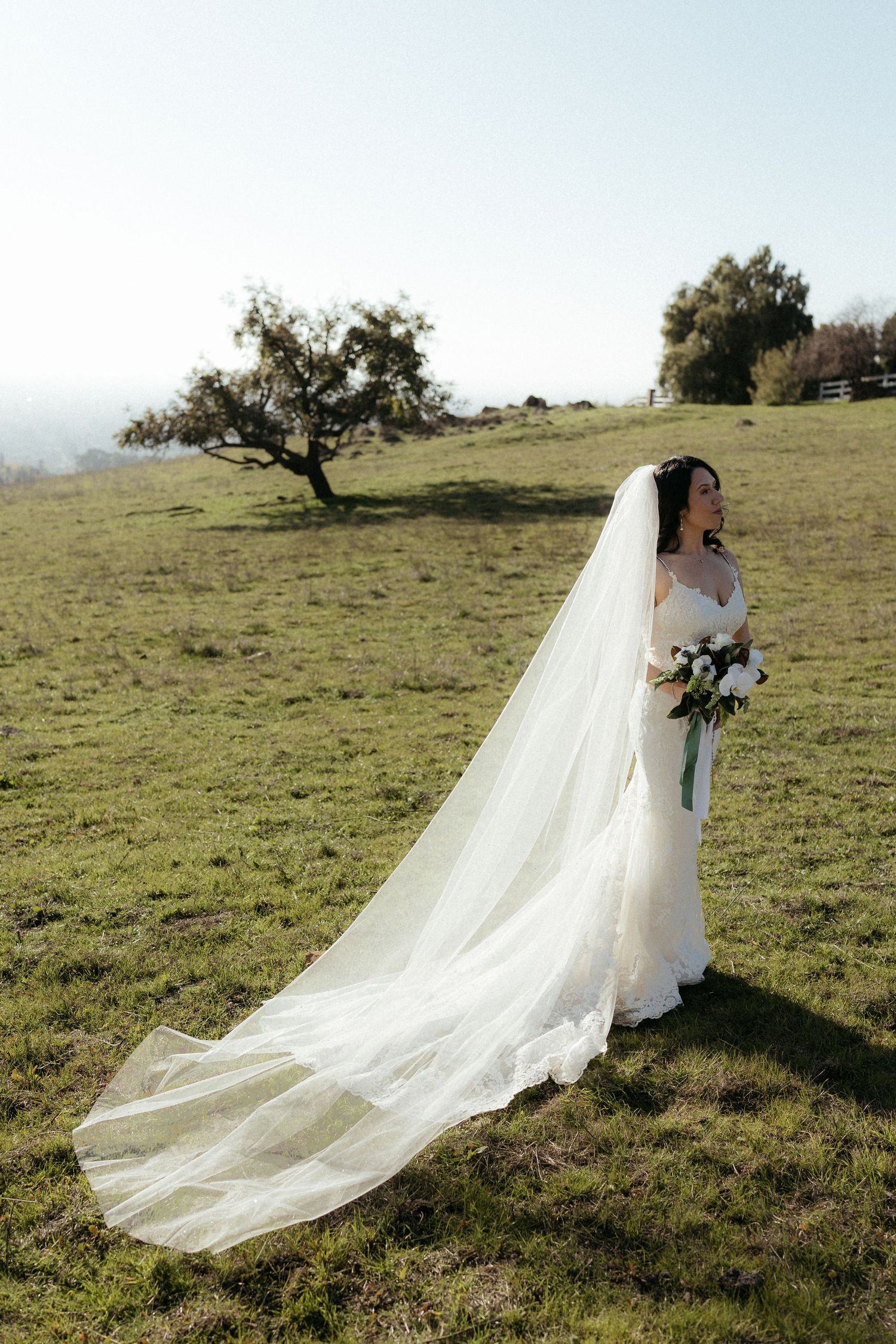 A flowing cathedral veil trails behind a bride in a fitted white dress on a grassy hillside.