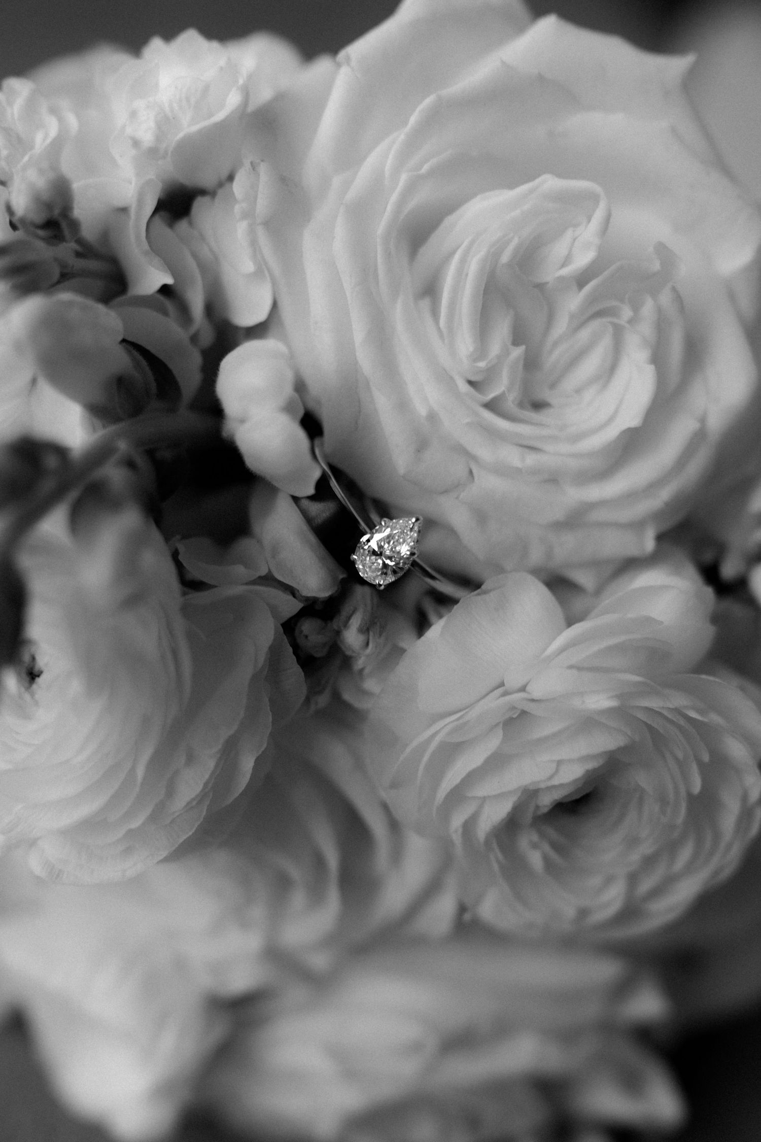 A black and white close-up of white roses with a diamond engagement ring nestled among the petals.