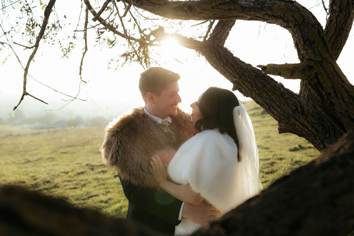 A couple embraces in a romantic outdoor setting with sunlight streaming through trees in the background.