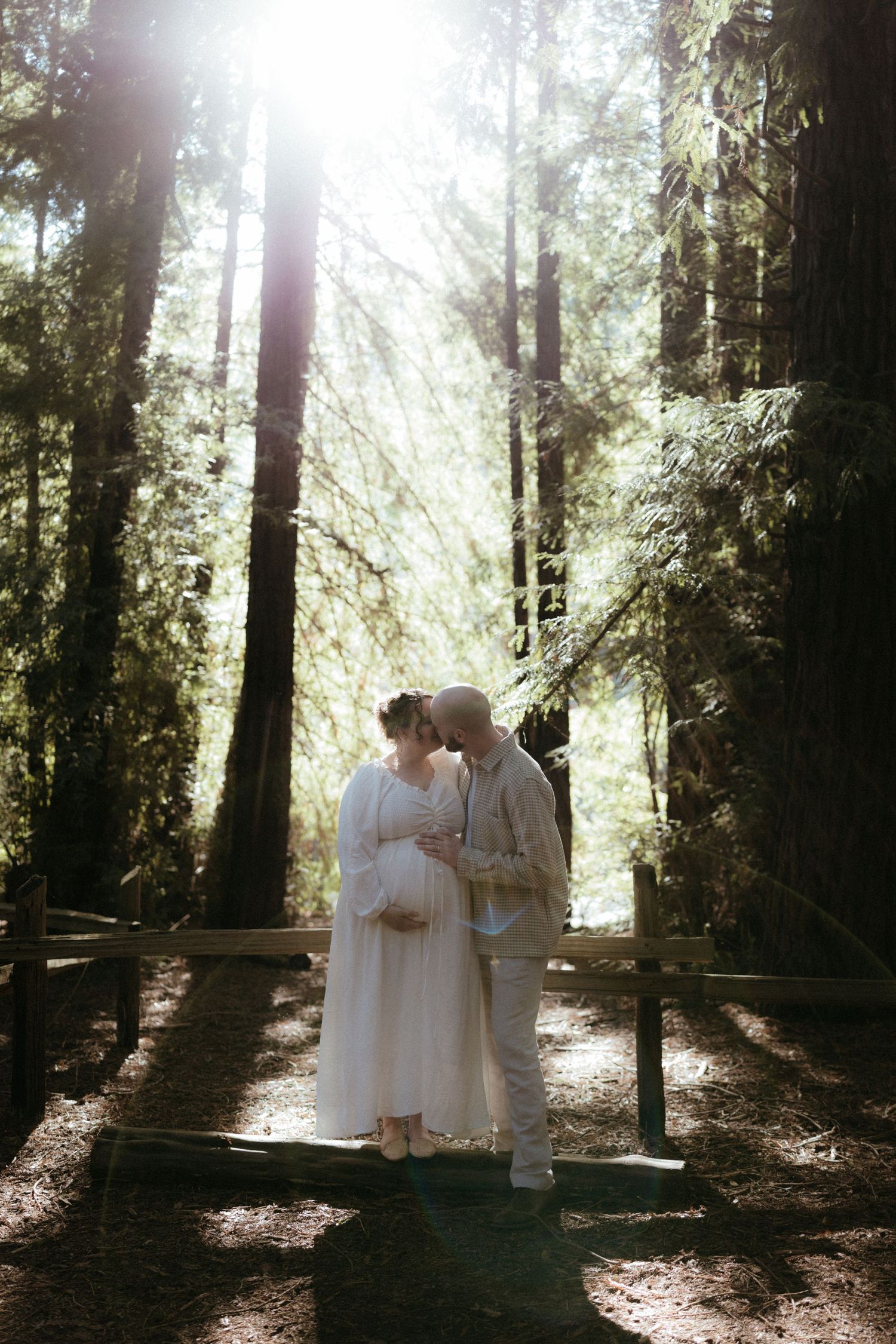 Sunlit forest scene with two figures in white clothing creating a dreamy atmospheric moment.