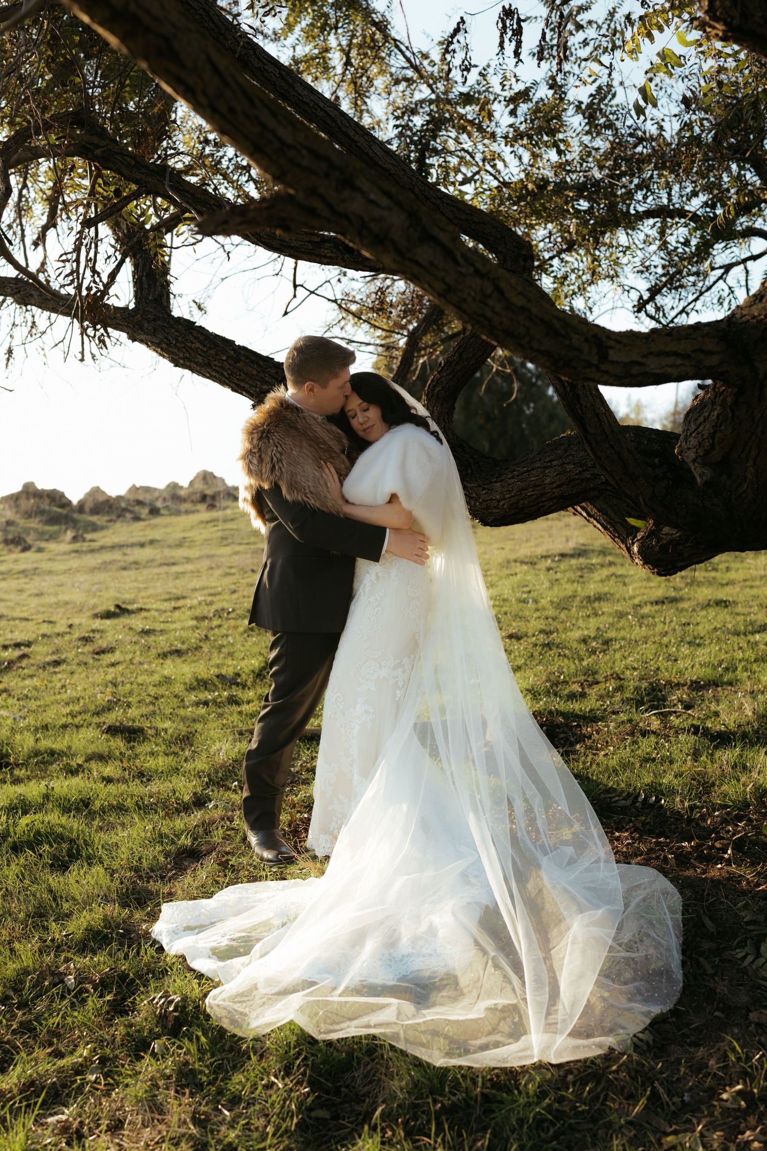 Wedding couple shares intimate moments under a large tree branch in a sunlit meadow.