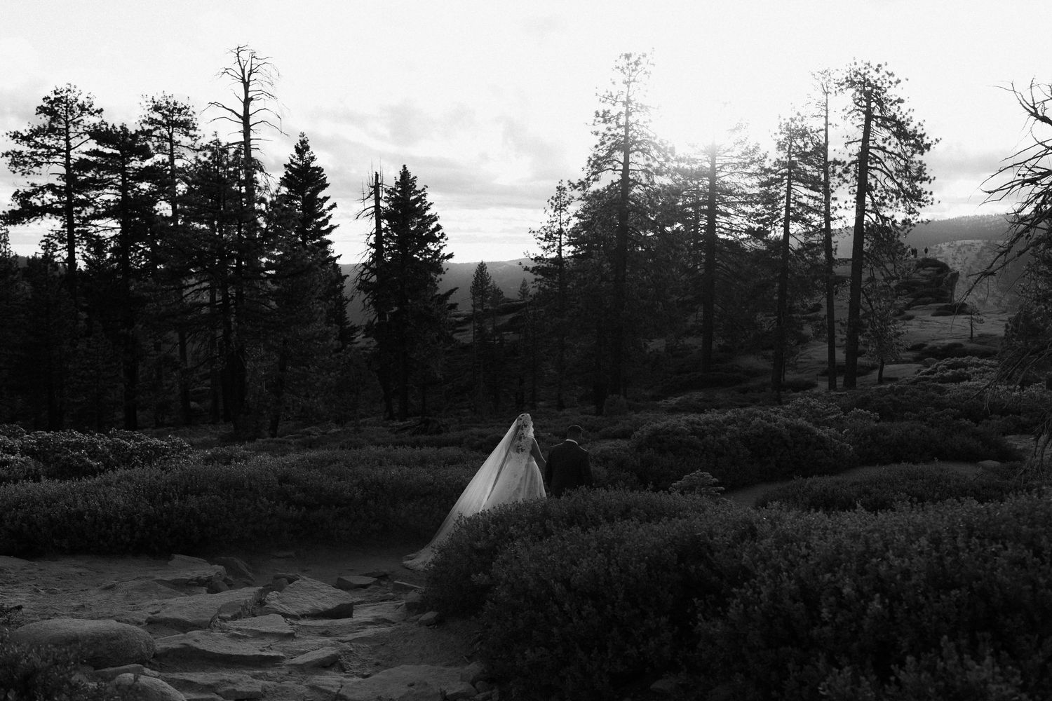 Black and white photo of a bride in a flowing veil standing on a rocky path surrounded by tall pine trees.