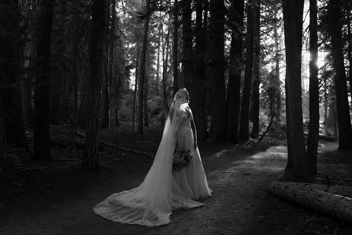 Bride in flowing white gown and veil stands on forest path among tall trees in black and white photo.
