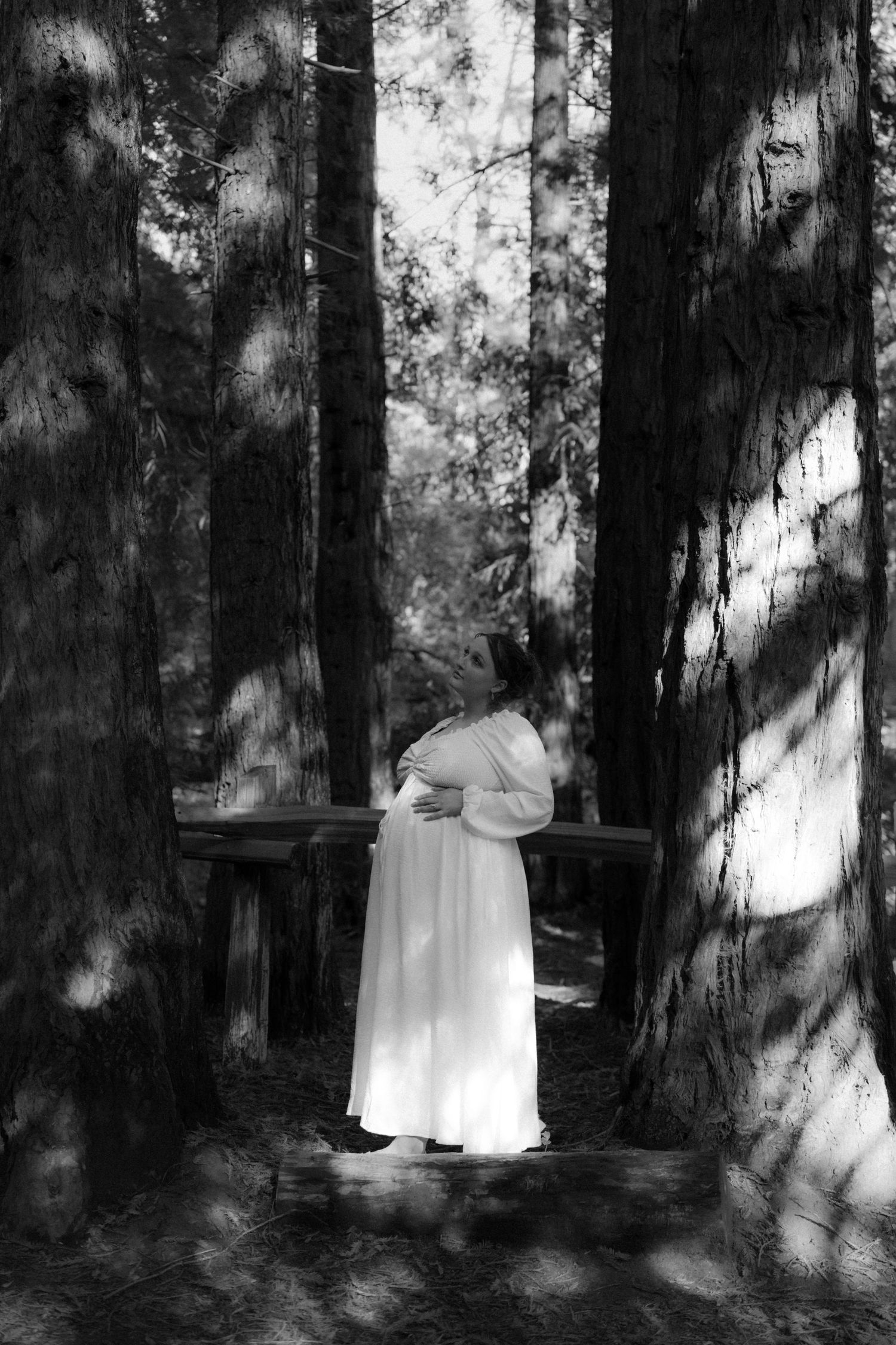 Black and white photos capture intimate moments between two people among towering redwood trees.