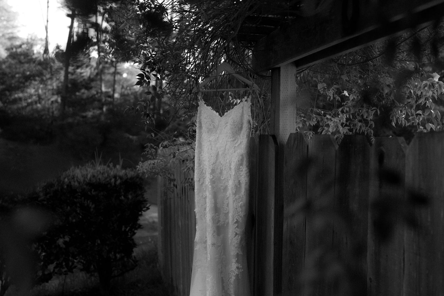 A row of wedding dresses displayed on hangers in a bridal boutique with natural lighting.