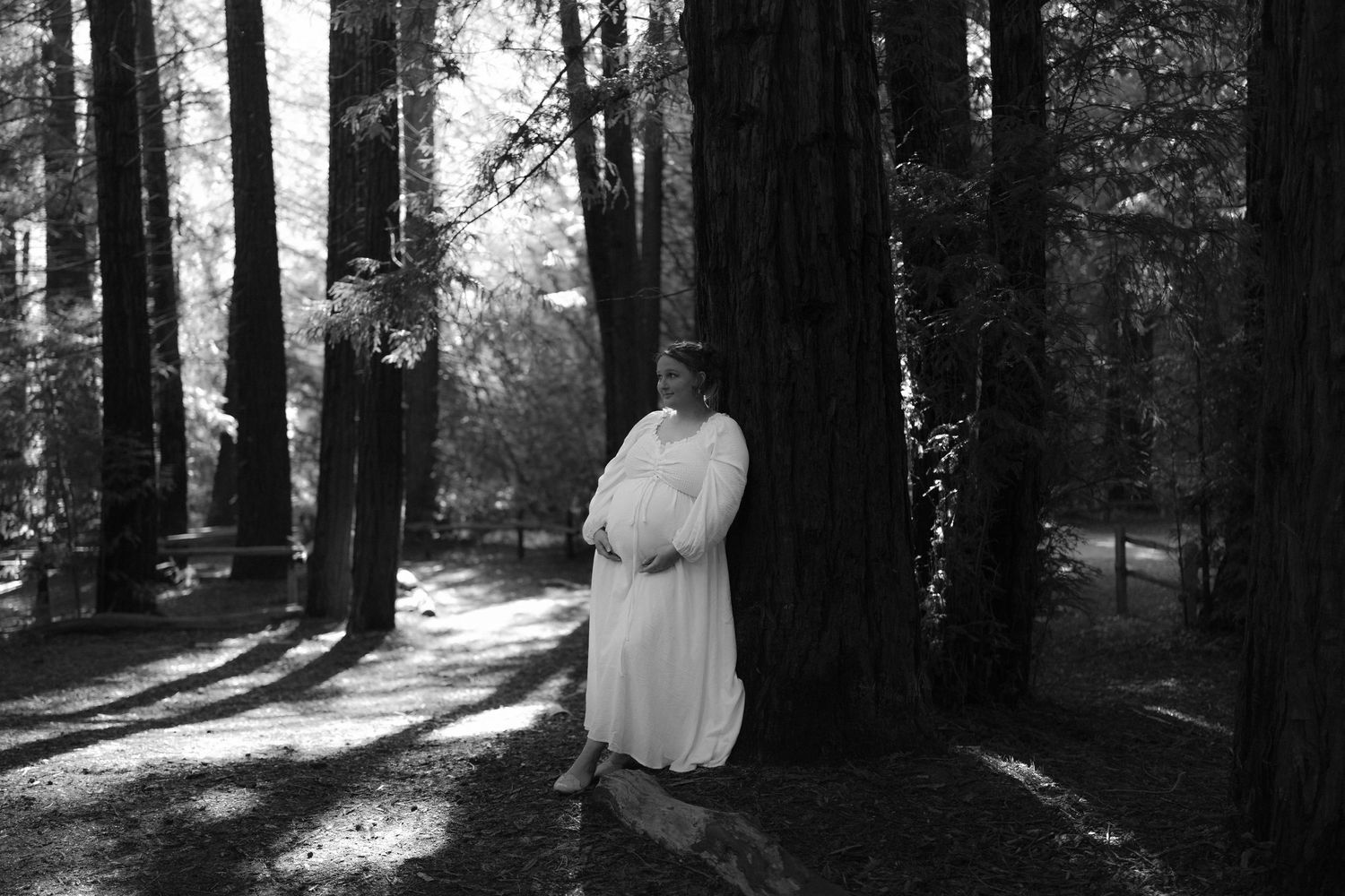 A dreamy black and white forest scene with sunlight streaming through tall trees creating dramatic shadows.