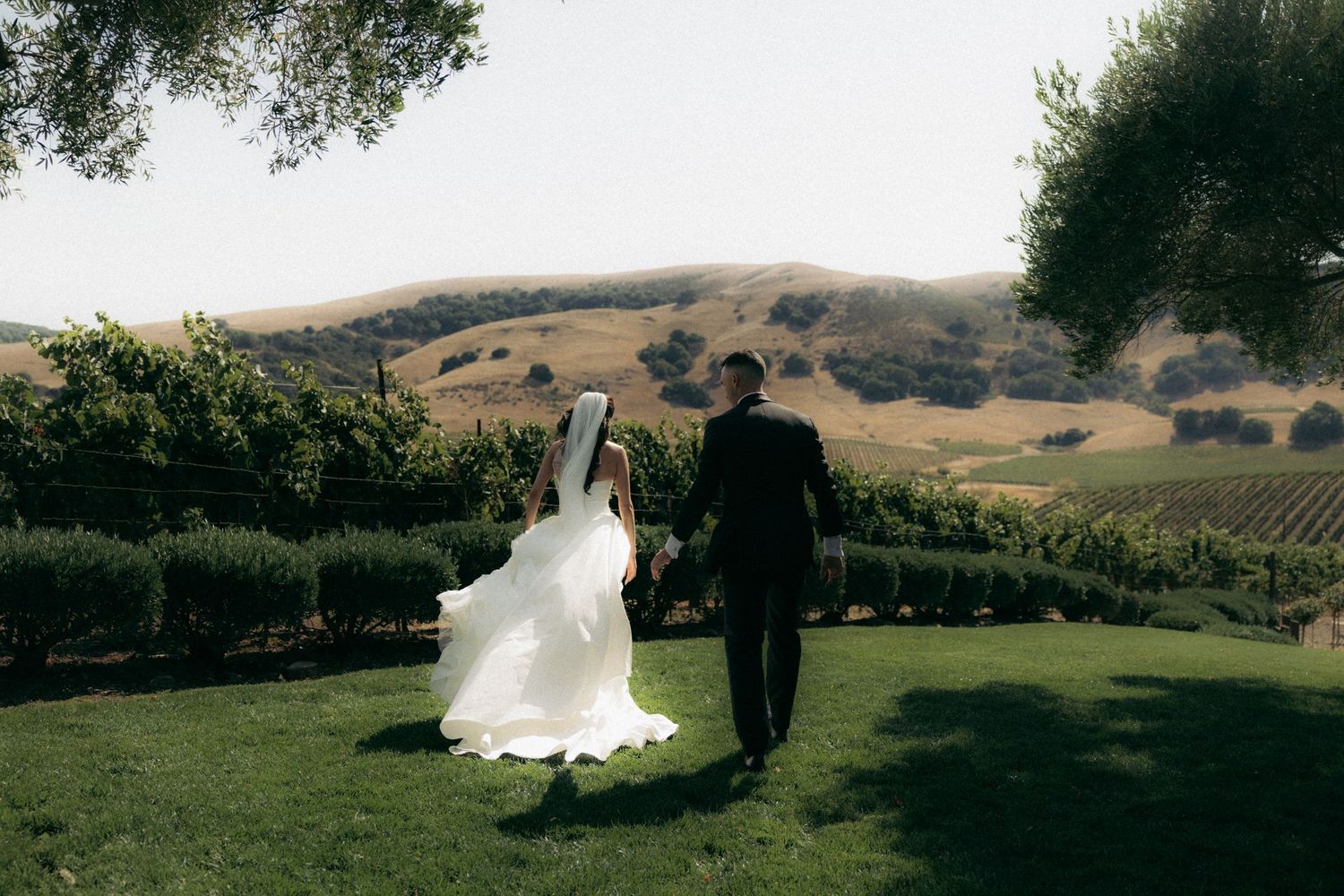 A scenic wedding photoshoot in a rolling vineyard landscape with distant mountains and lush greenery.
