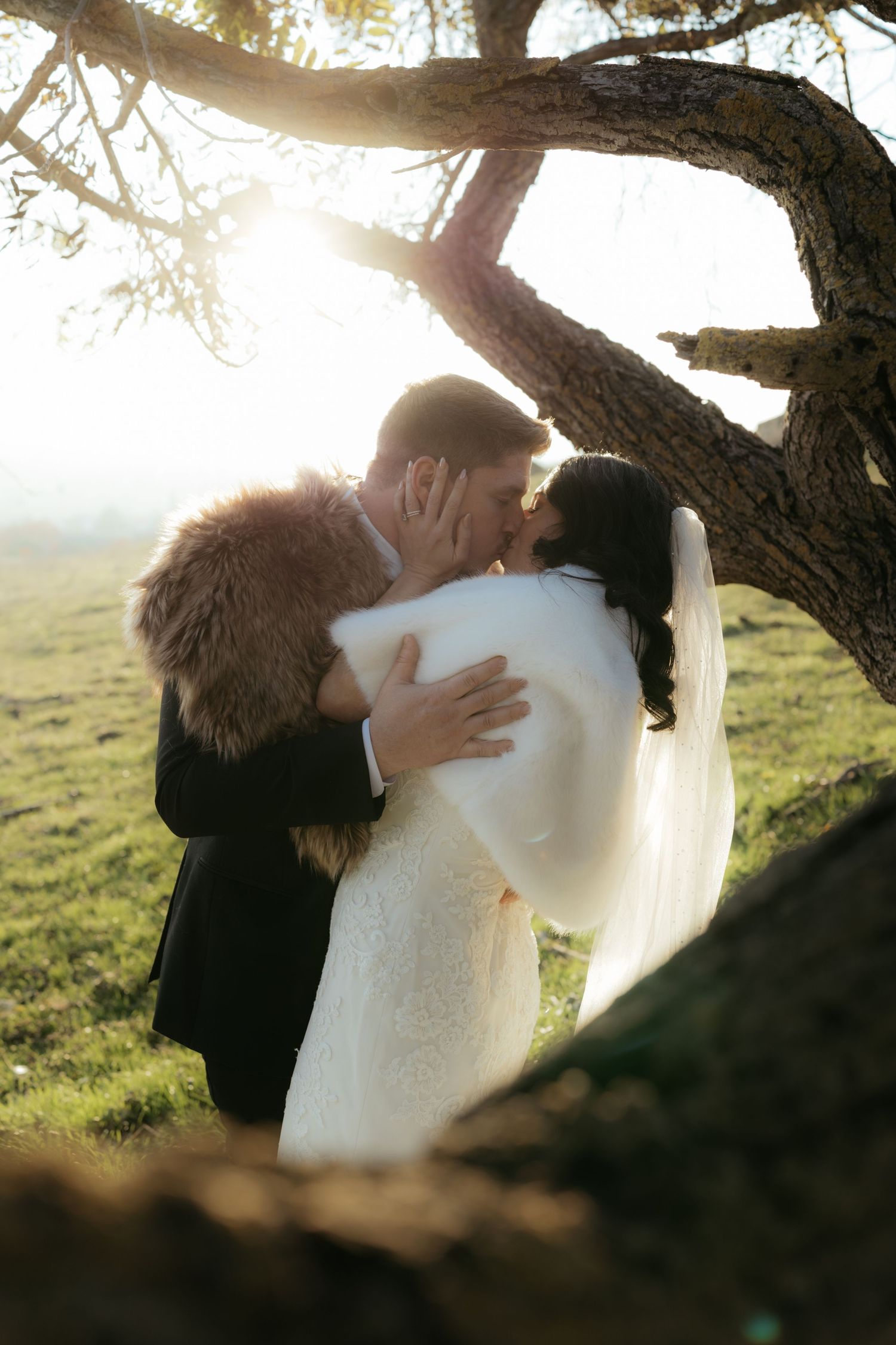 A romantic wedding couple shares an intimate moment under a tree branch at sunset.