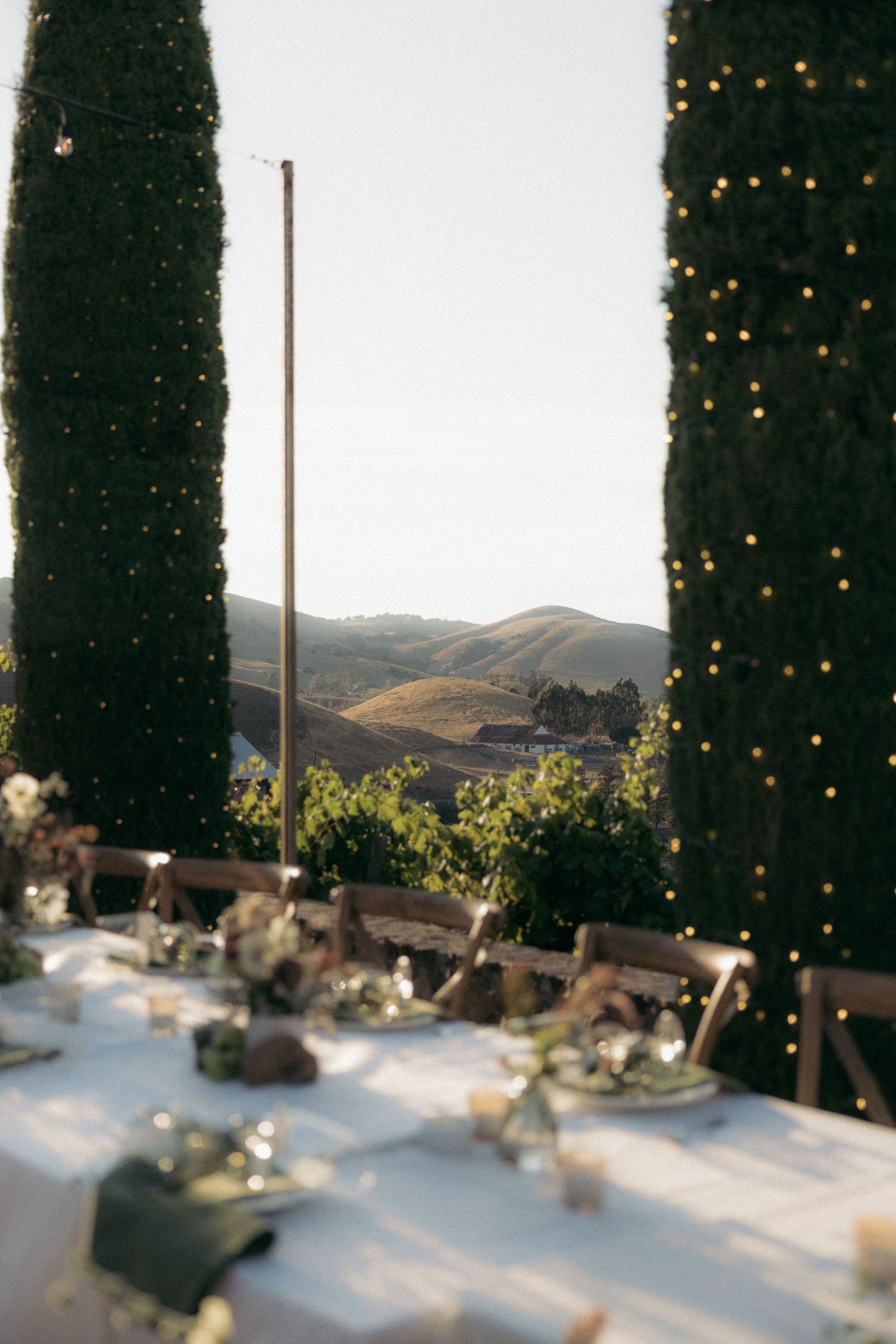 Elegant table settings with string lights and mountain valley views through cypress trees at an outdoor venue.
