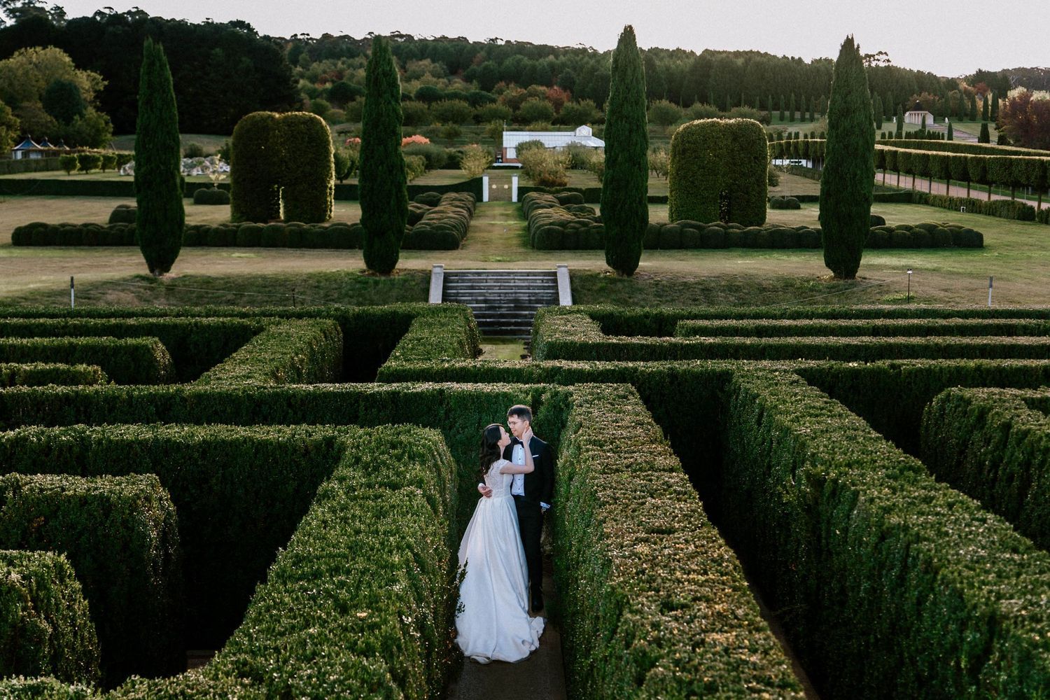 Bride and groom embrace in a lush green hedge maze garden with manicured topiaries and formal landscape.