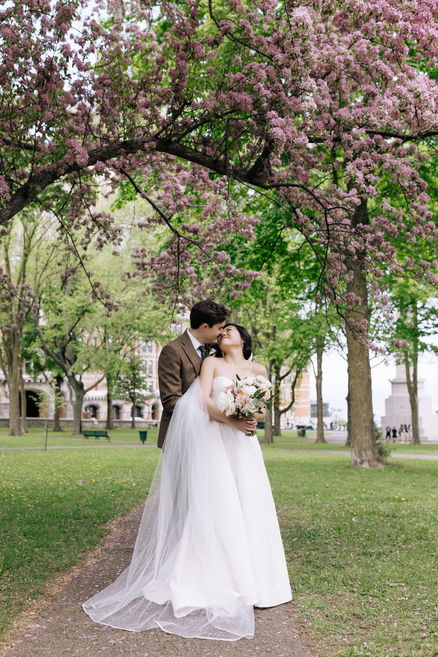 Wedding couple shares romantic moment under blooming pink cherry blossom trees in springtime park setting.