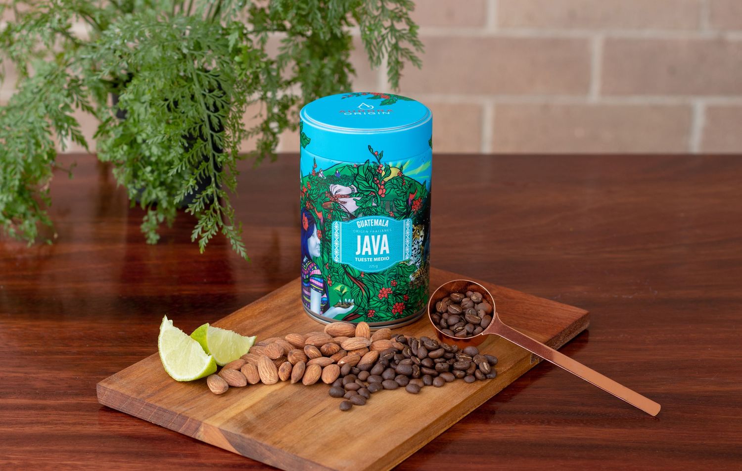 Teal Java coffee tin on wooden board with almonds, coffee beans, lime slices, and a wooden scoop, surrounded by greenery.
