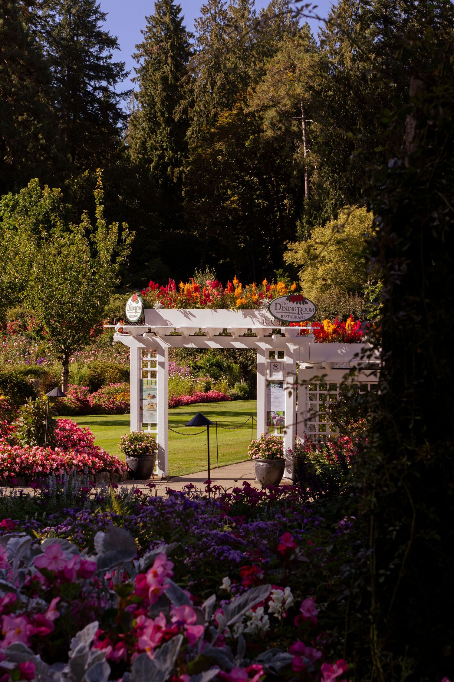 A white garden pergola surrounded by vibrant pink and purple flowers in a lush garden setting with autumn decorations.