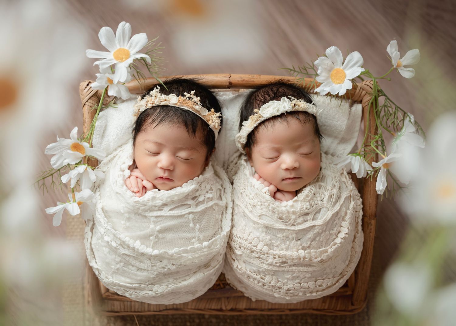 Two swaddled newborn twins sleeping peacefully in a wooden box with white daisy flowers and floral headbands.