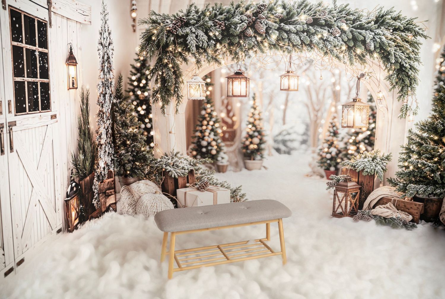 Christmas mini photography sessions in Adelaide