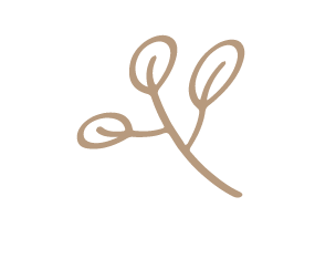 Minimalist hand-drawn botanical branch illustration with curling loops and leaves in warm beige tone.
