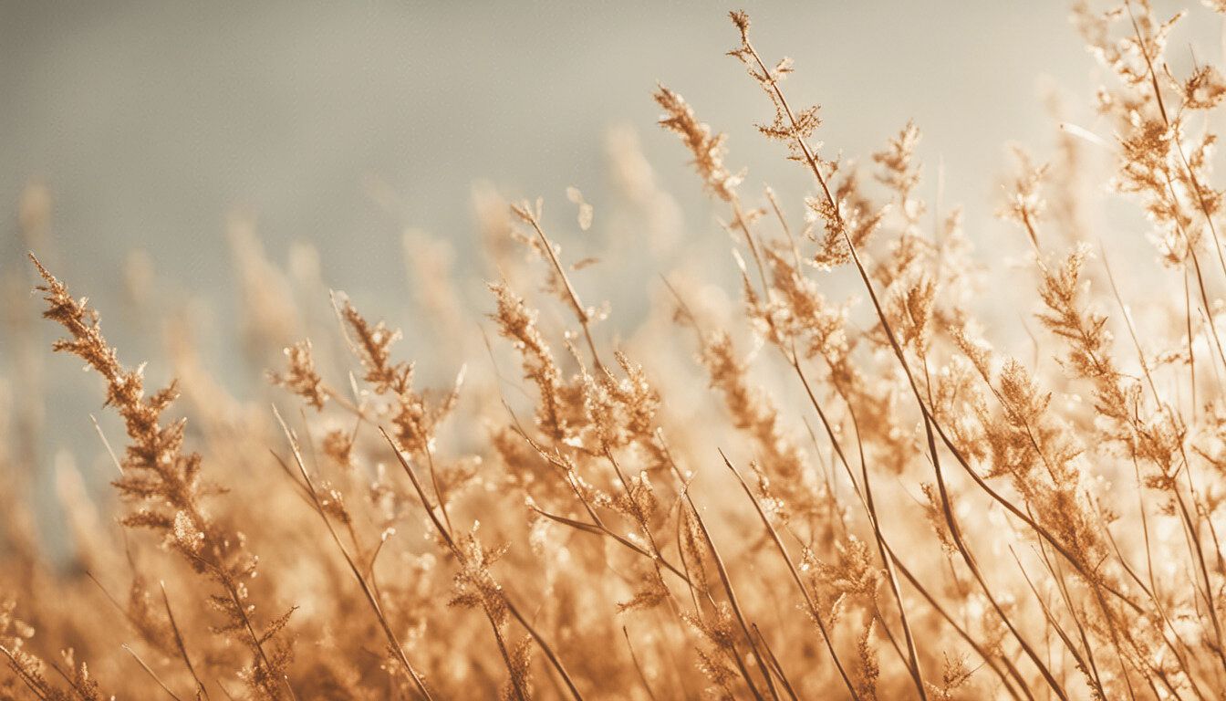 Little Twine Photography Adelaide
