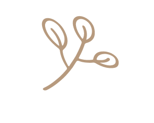 Minimalist hand-drawn botanical branch illustration in warm beige, featuring delicate leaves and curling tendrils on white background.