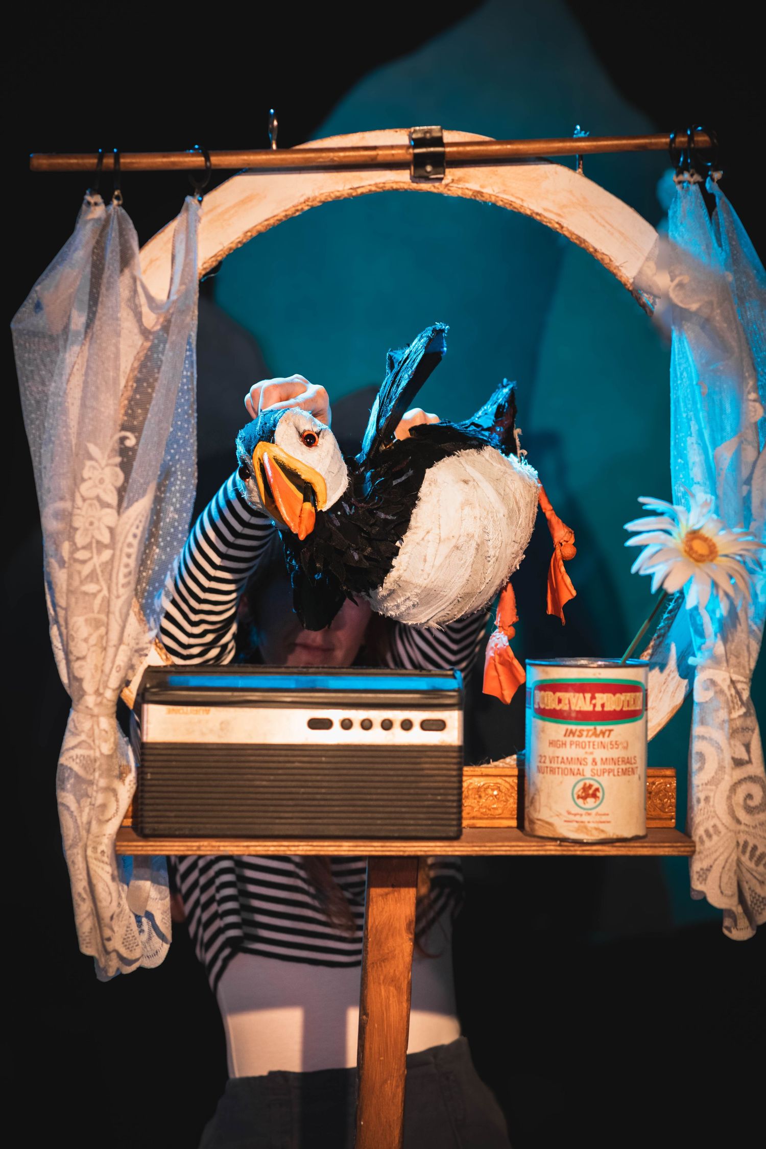 Much Ado About Puffin
