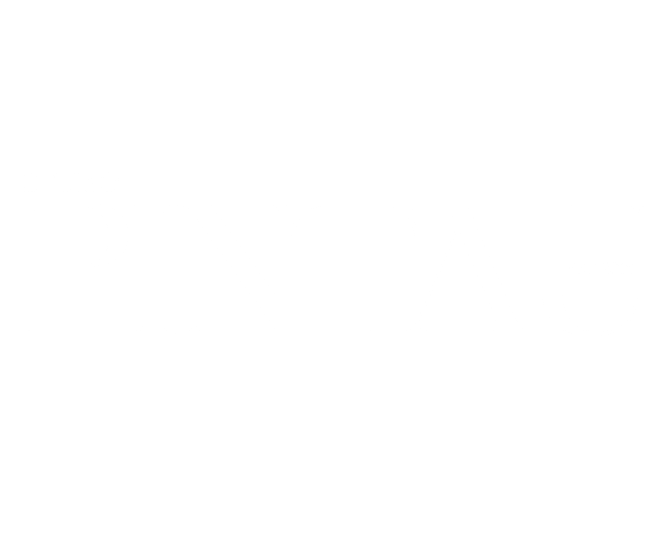 Pintau Studio logo