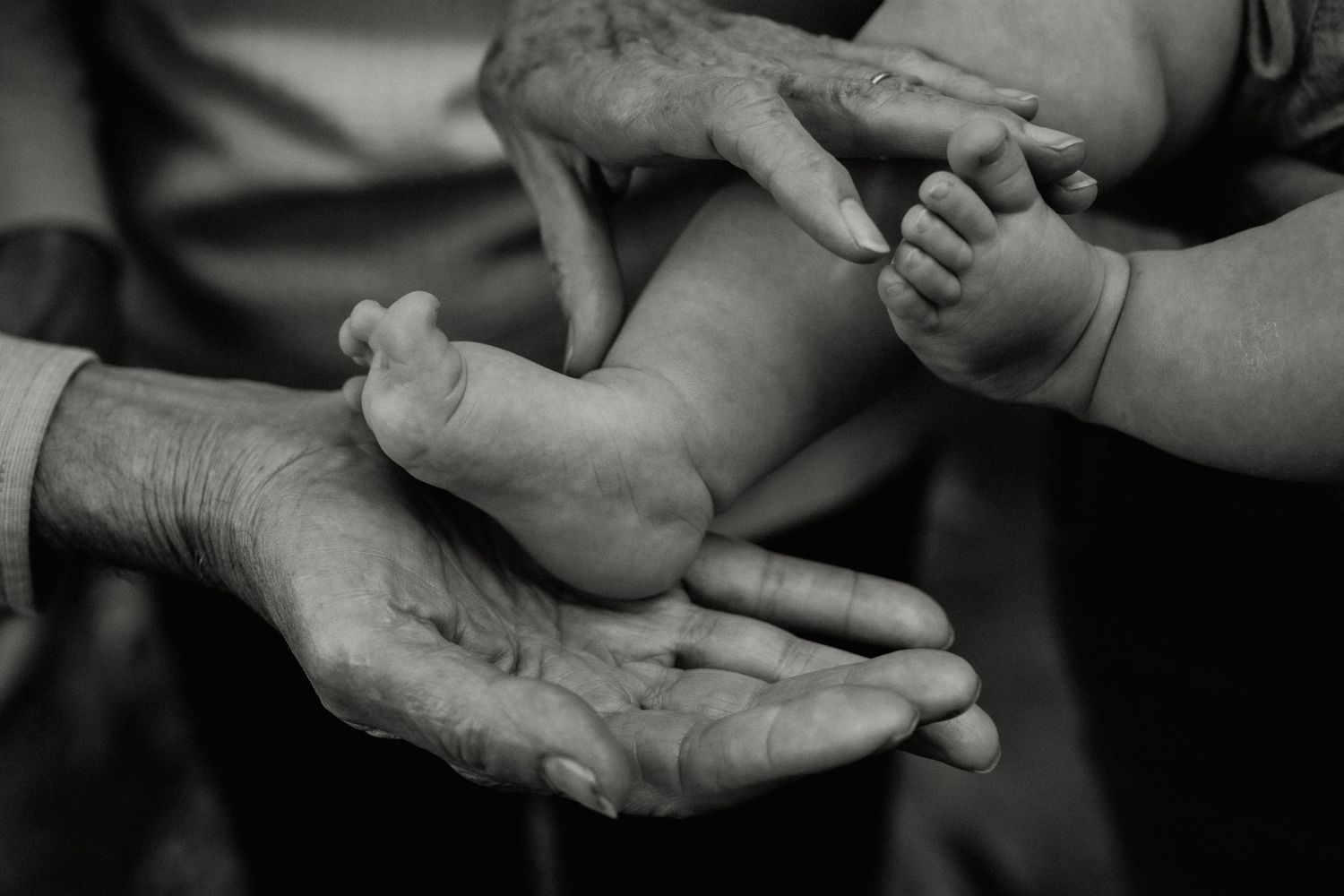 family baby grandparents photography cape town company gardens close up hands feet intimate heartfelt unscripted natural