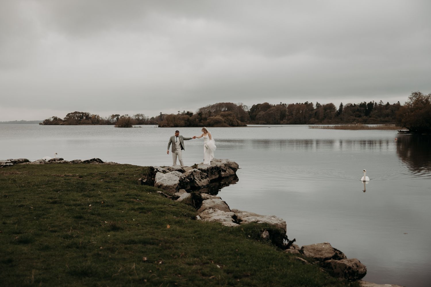 Bride and groom portrait with swans on Lough Leane at Ross Castle, Ireland