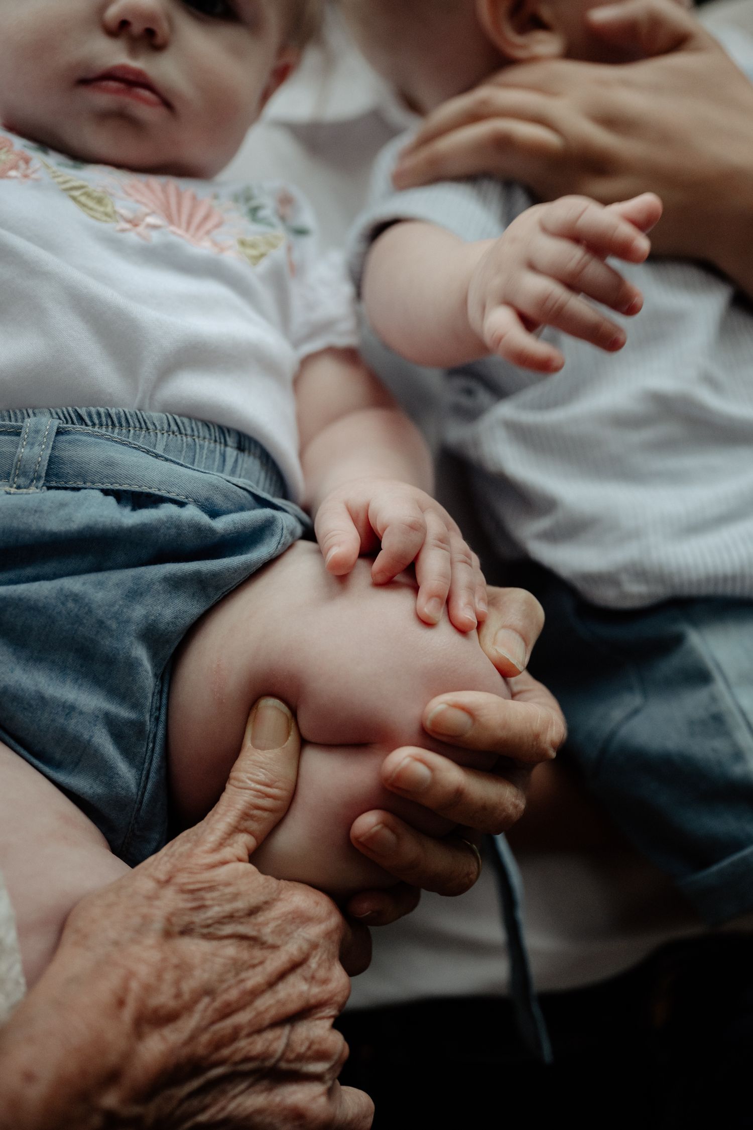 family baby grandparents photography cape town company gardens close up hands feet intimate heartfelt unscripted natural