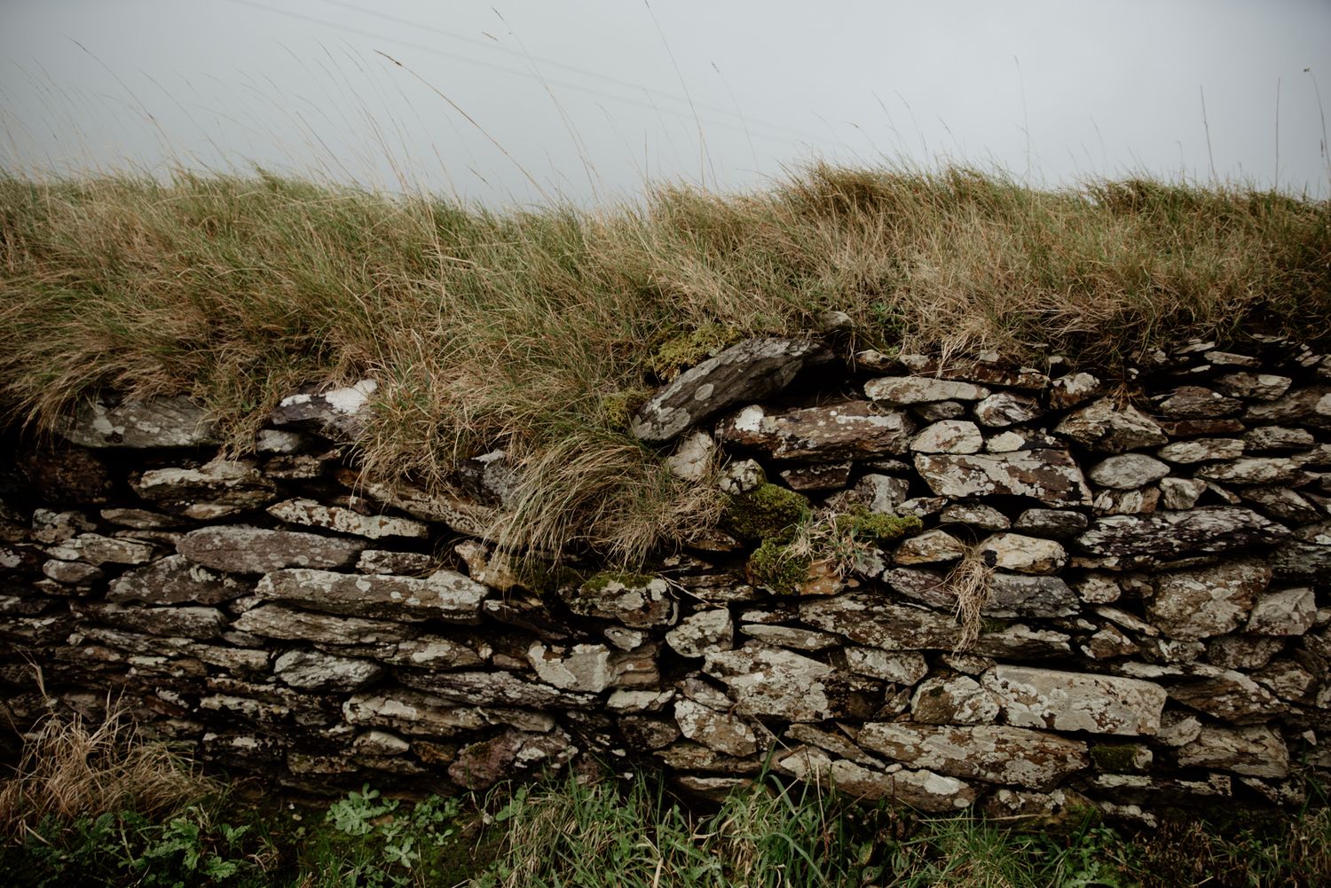 Traditional dry stone wall lining a narrow country road on the Dingle Peninsula, Ireland